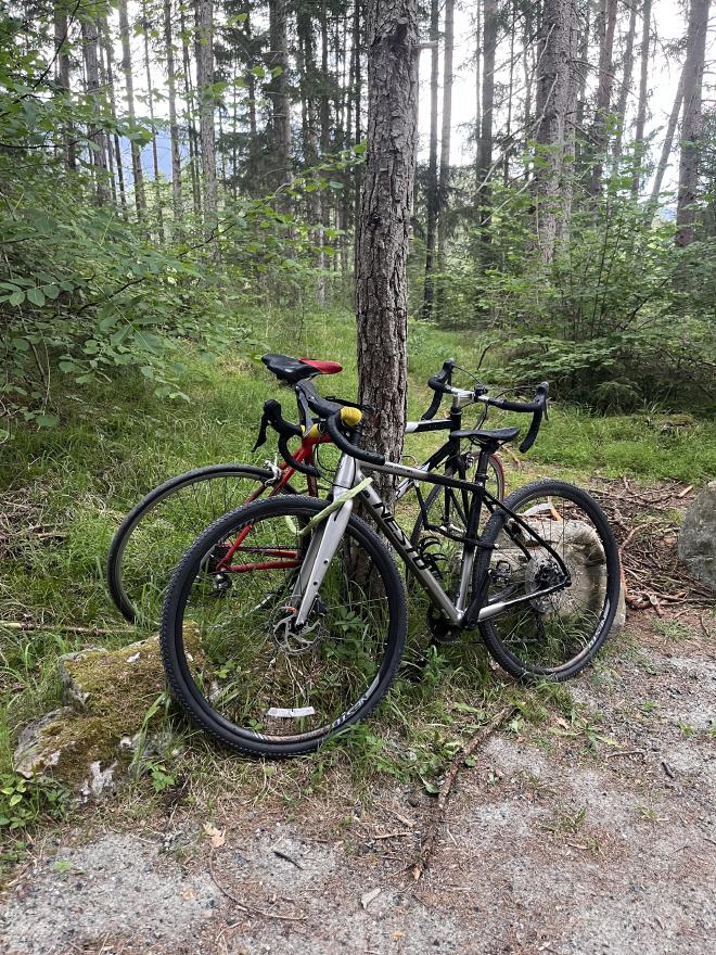 Our bikes parked by a tree on the ride in to the crag