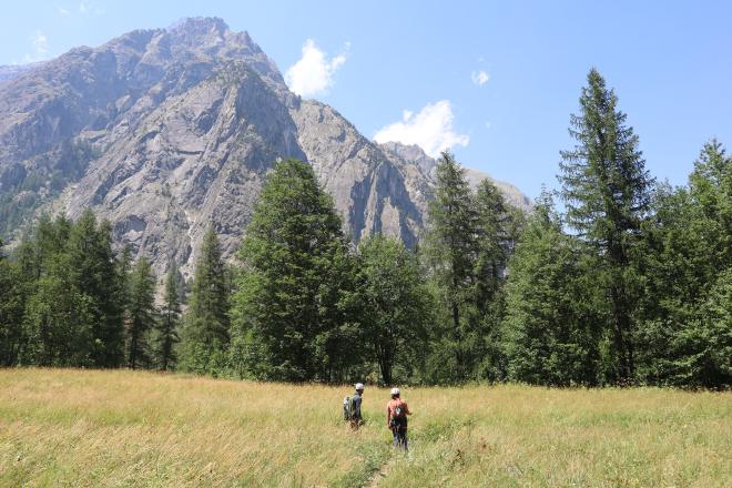 Hiking through the meadow below the peaks