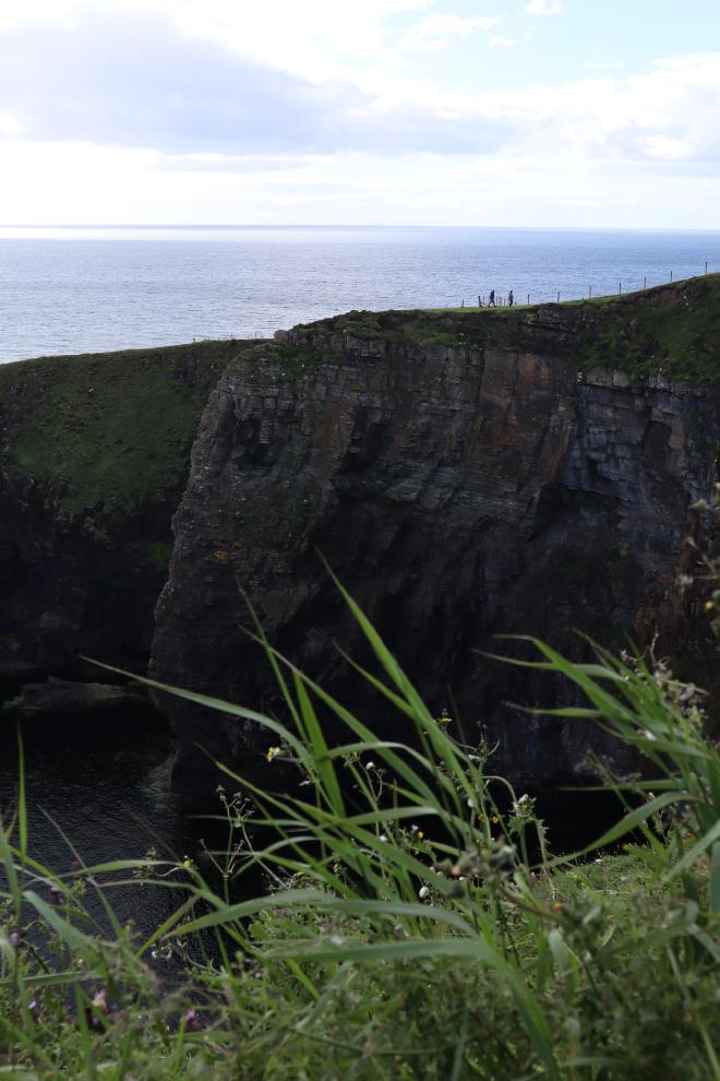 Wildflowers and grass in the foreground with sea cliffs and two walkers along the clifftop path near Whaligoe