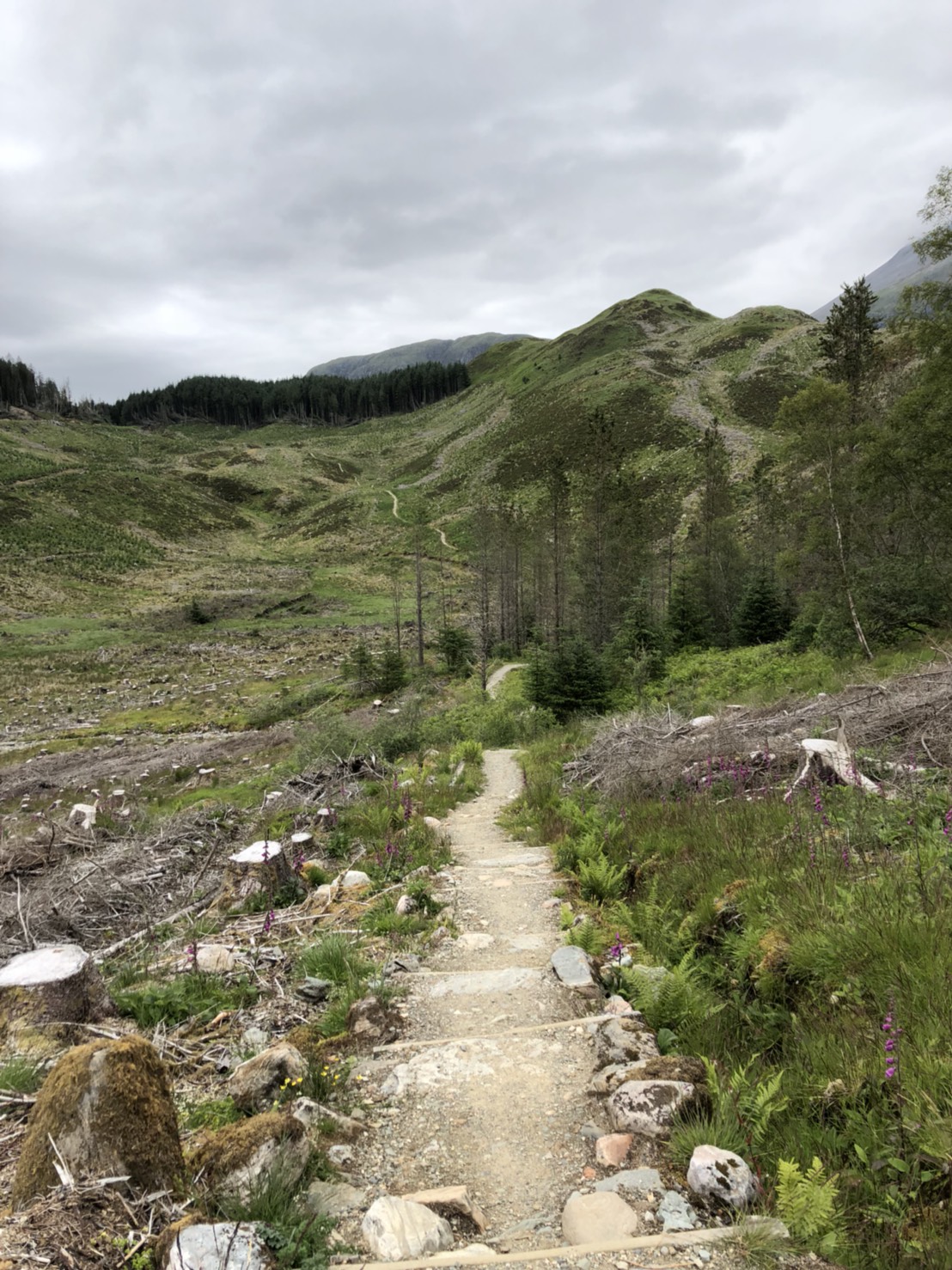 west-highland-way-14