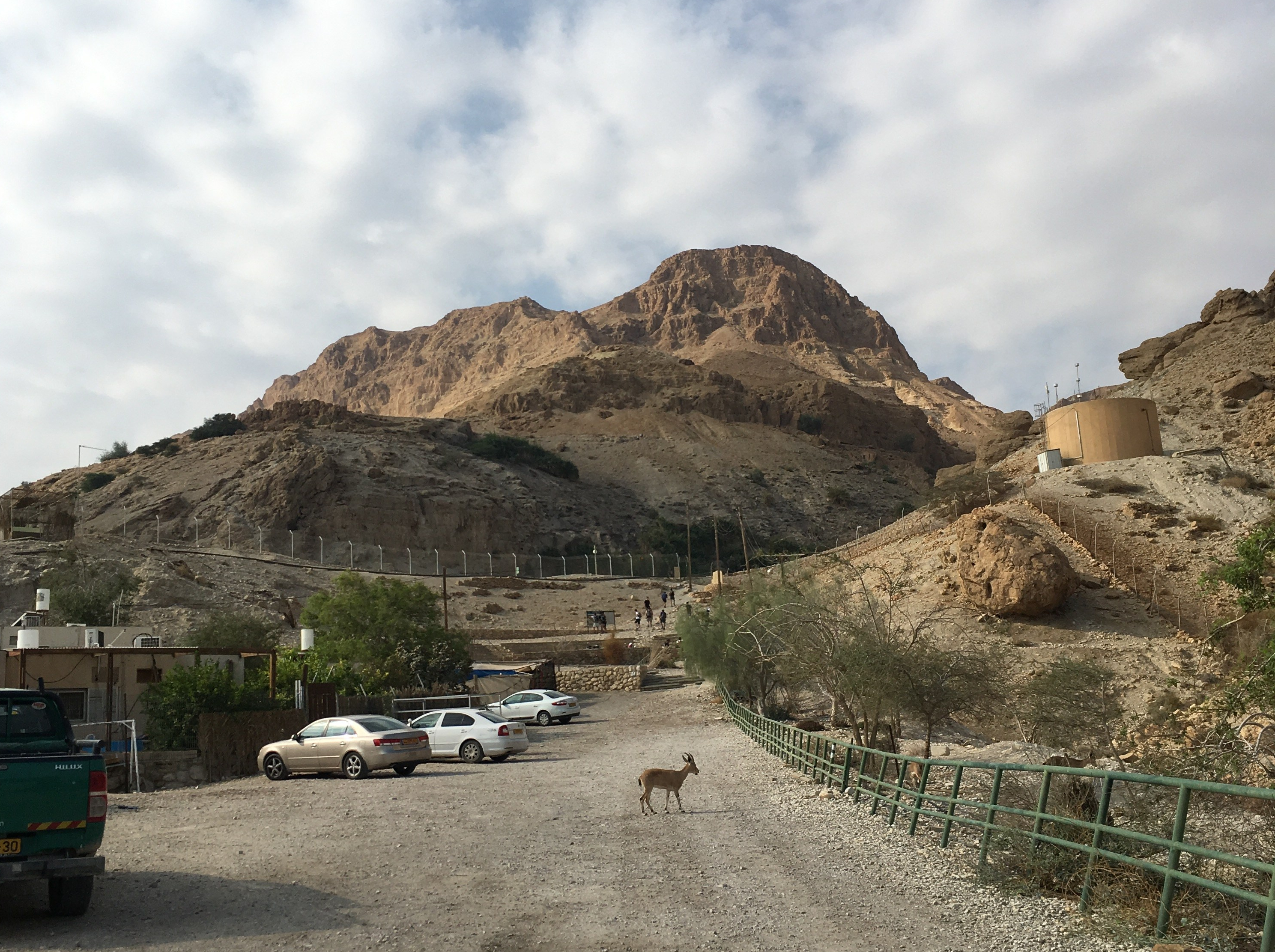 judea-desert-hikes-1