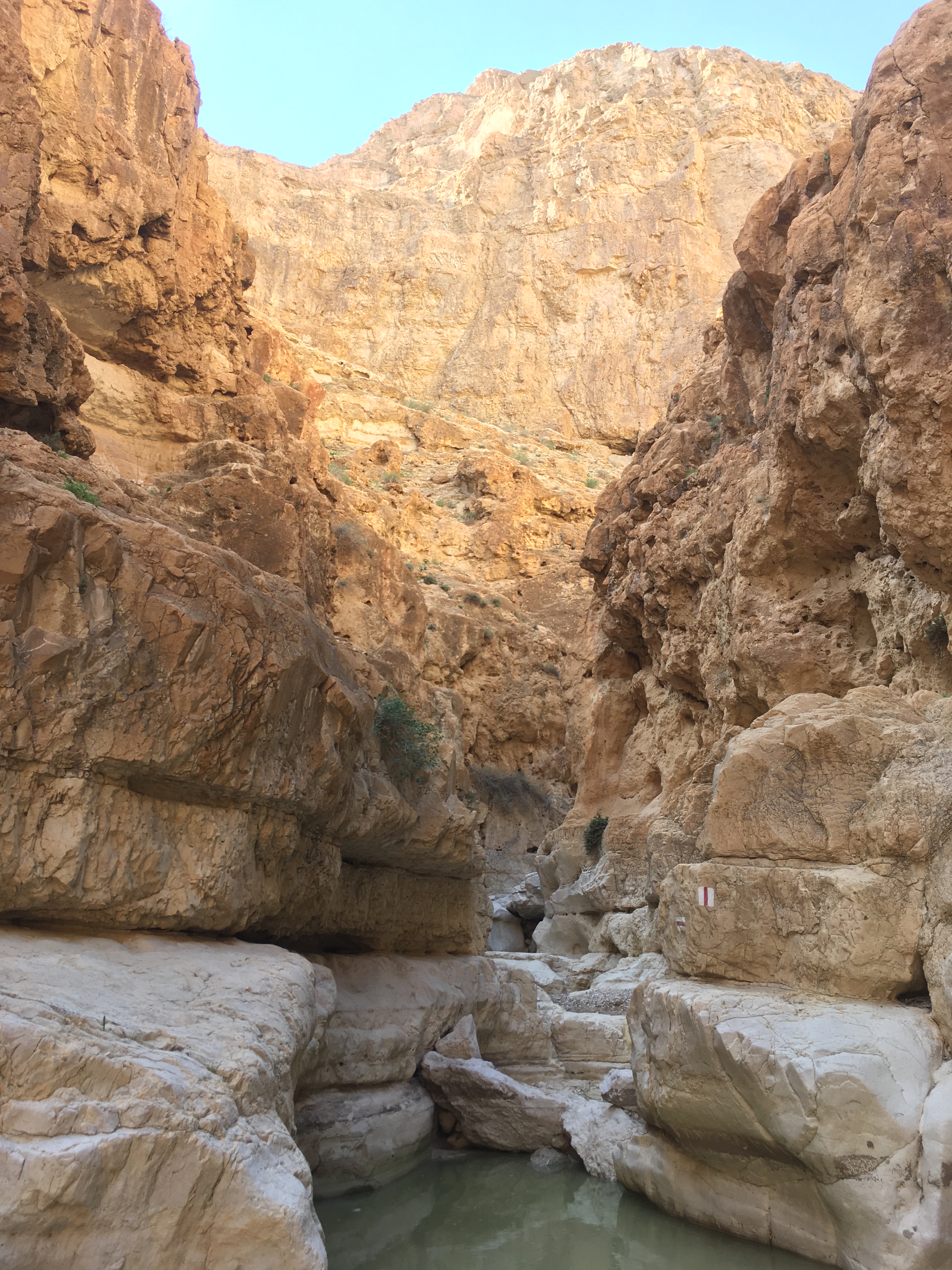 judea-desert-hikes-15