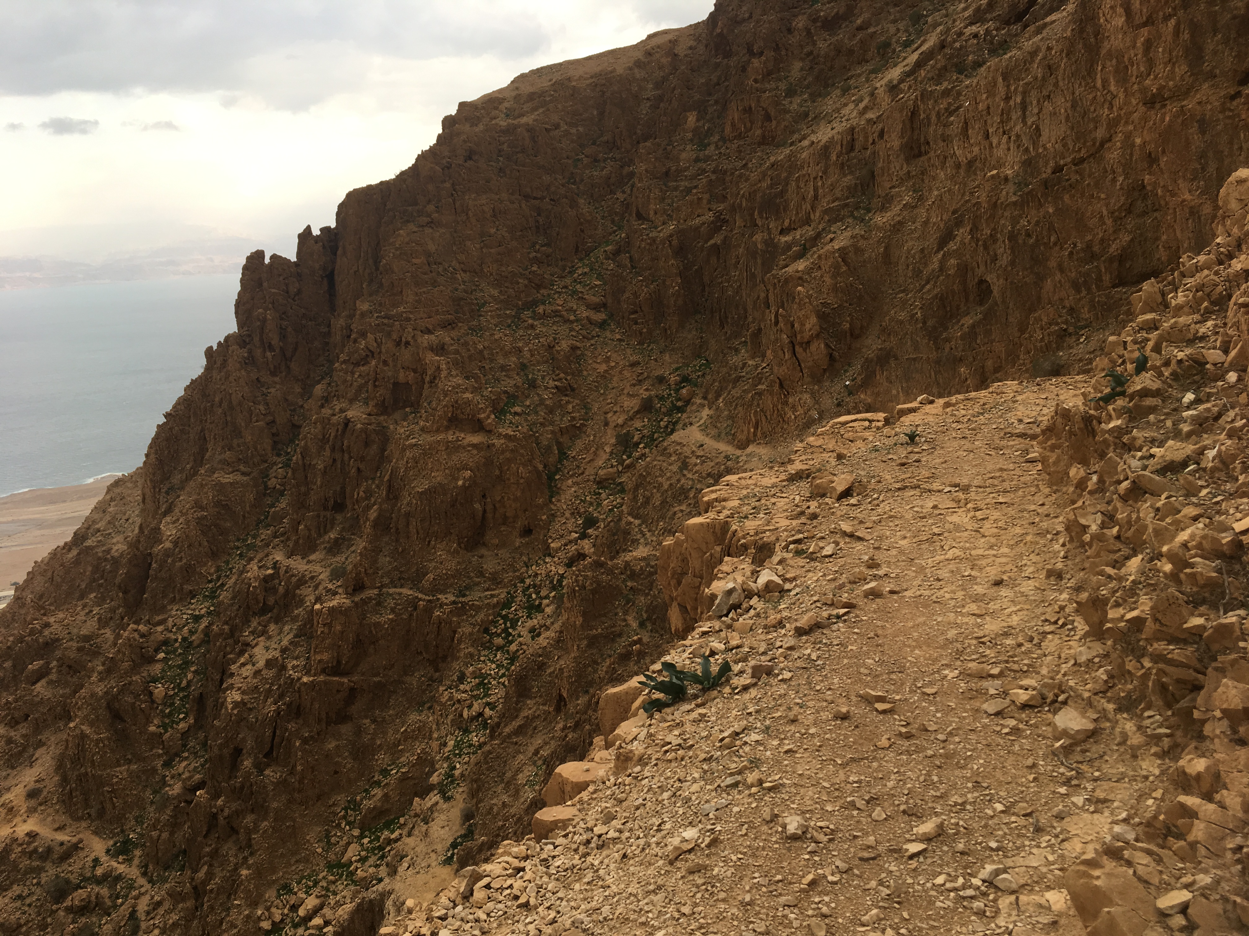 judea-desert-hikes-22