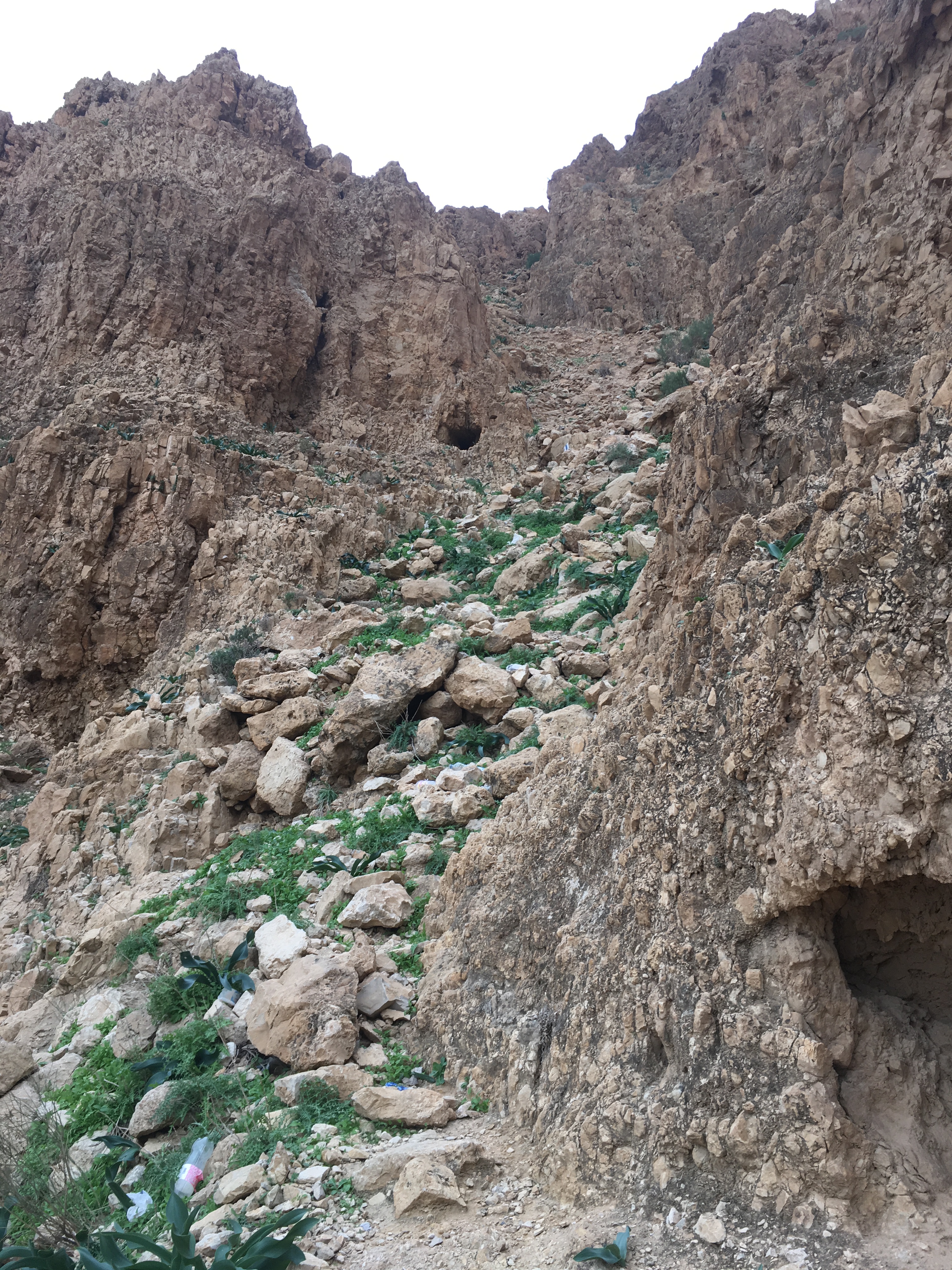 judea-desert-hikes-23