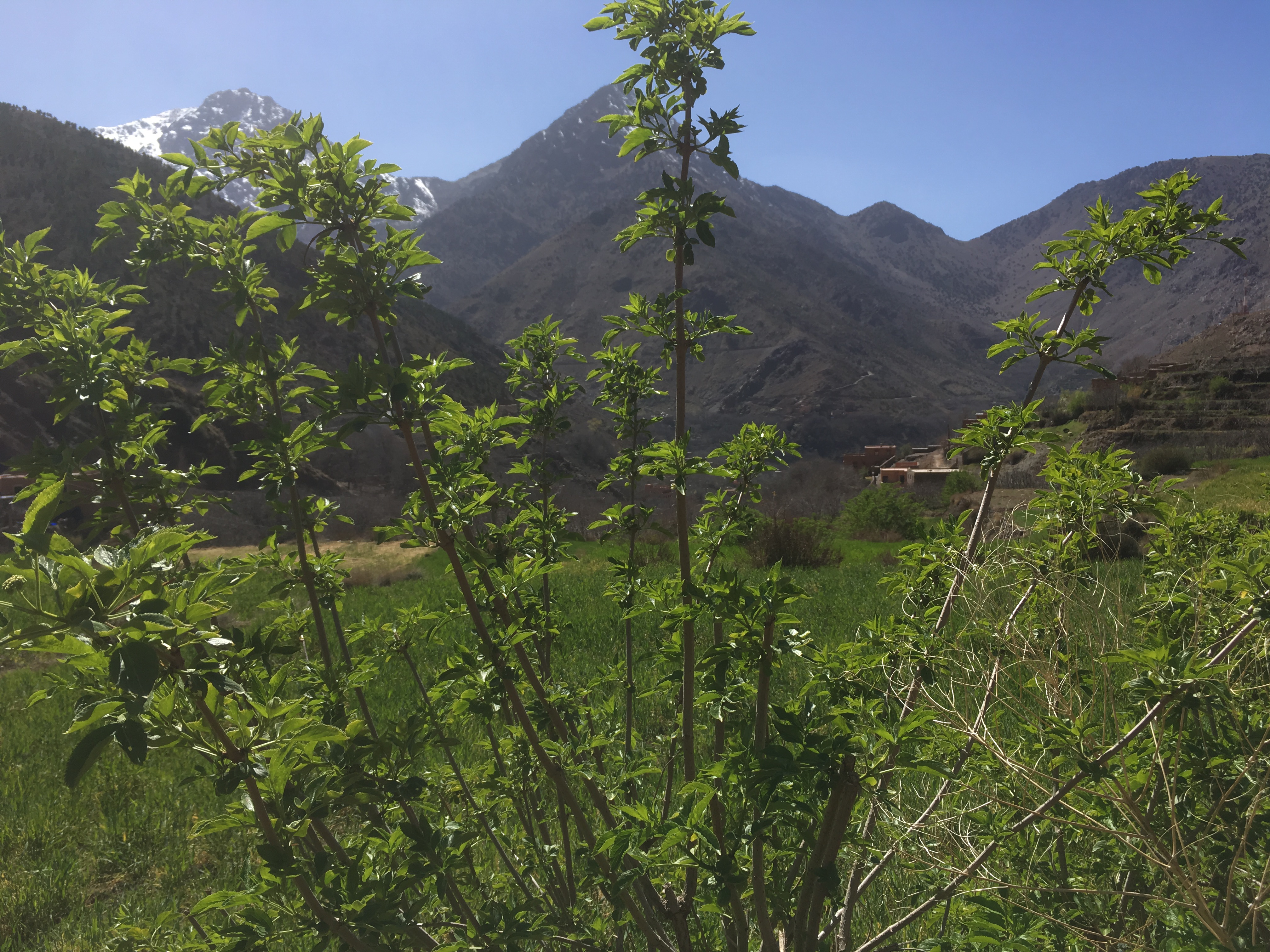 high-atlas-mountains-5