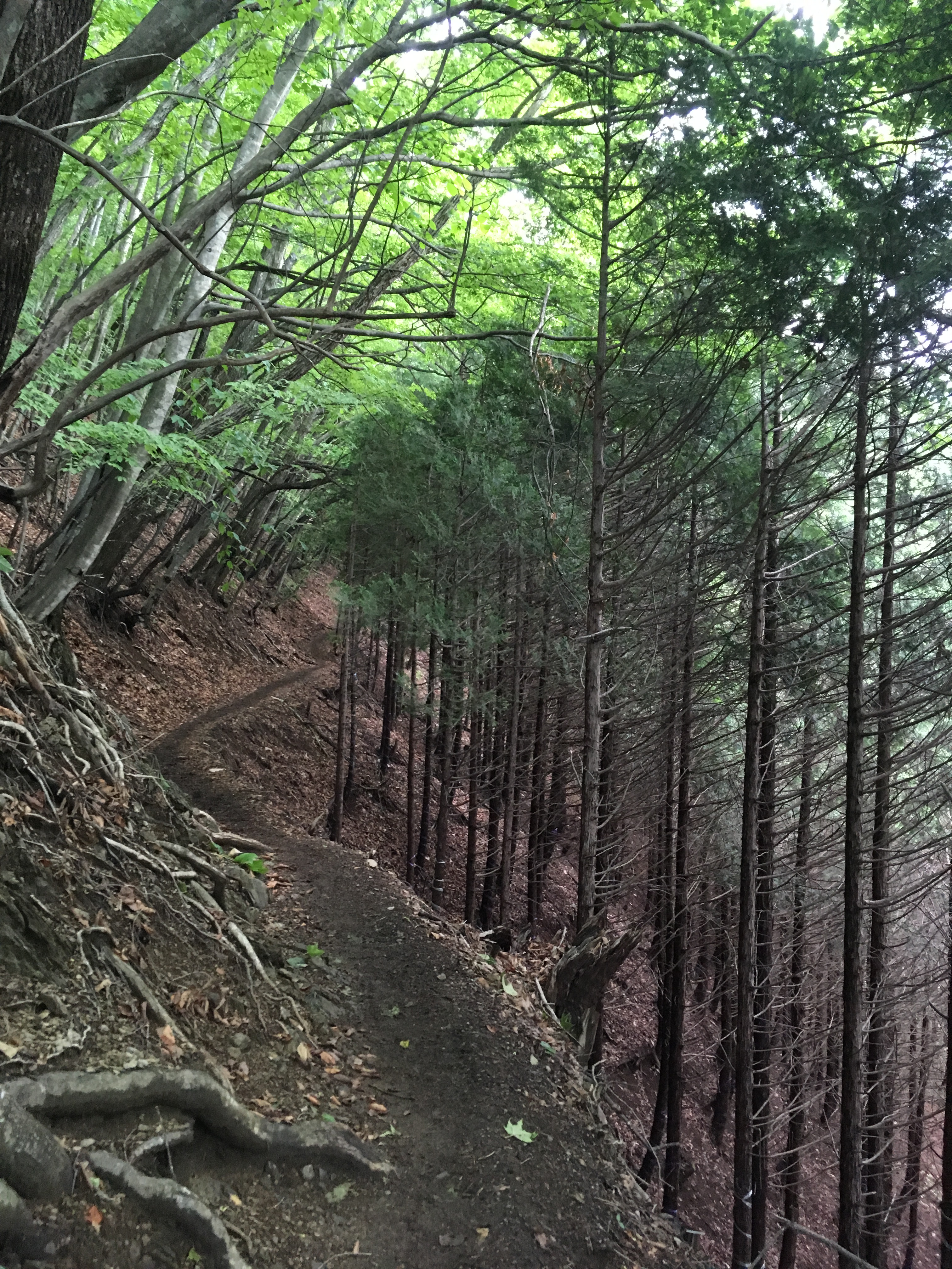 hiking-highest-peak-15