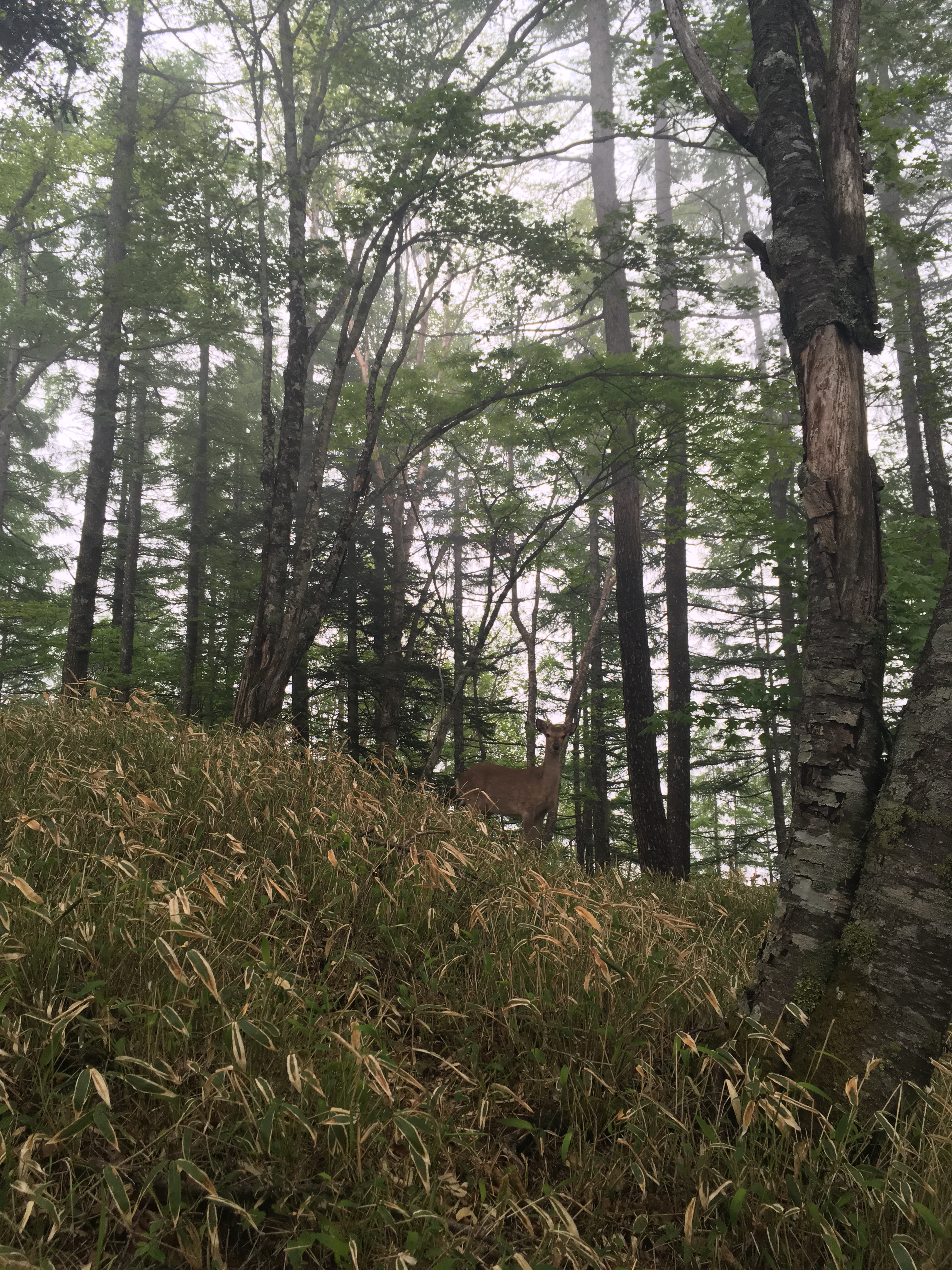 hiking-highest-peak-18