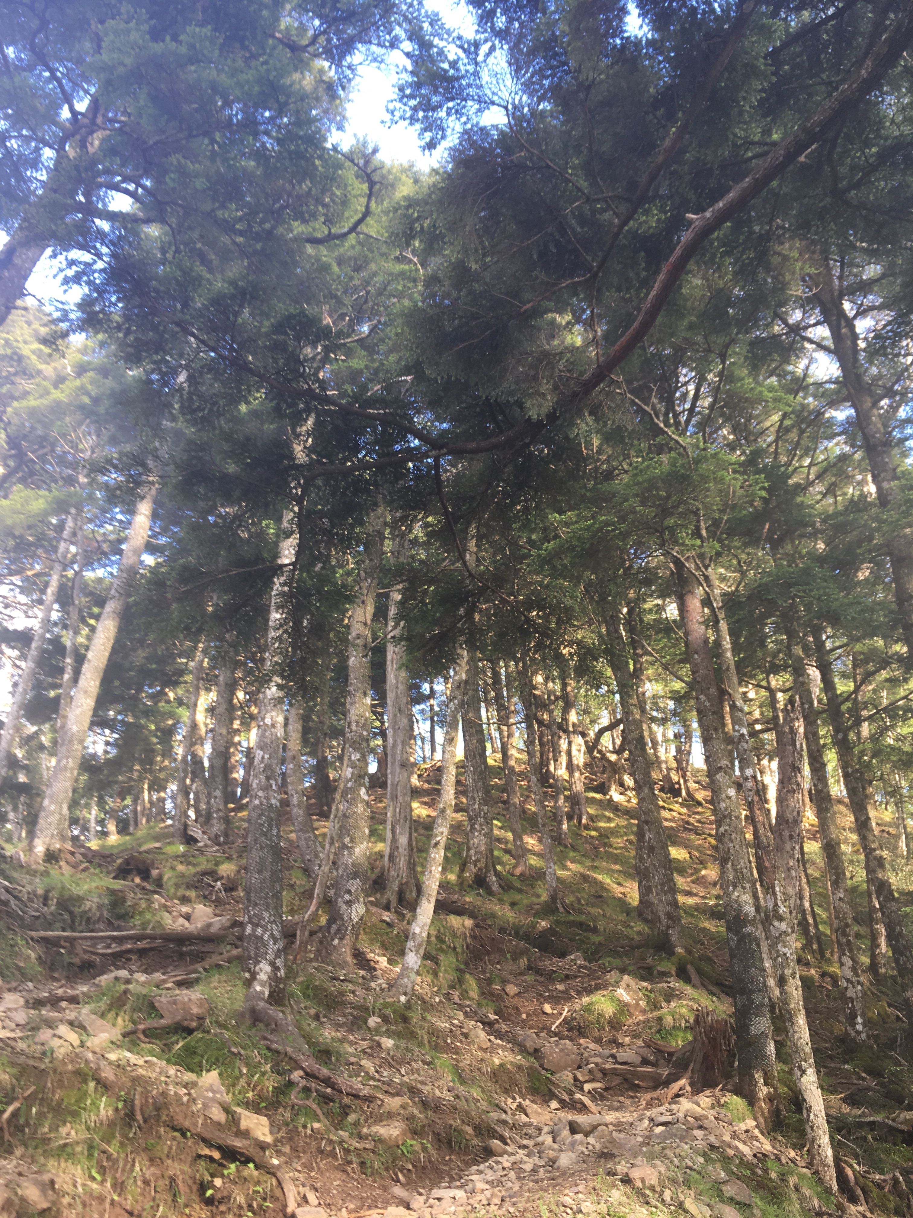 hiking-highest-peak-20