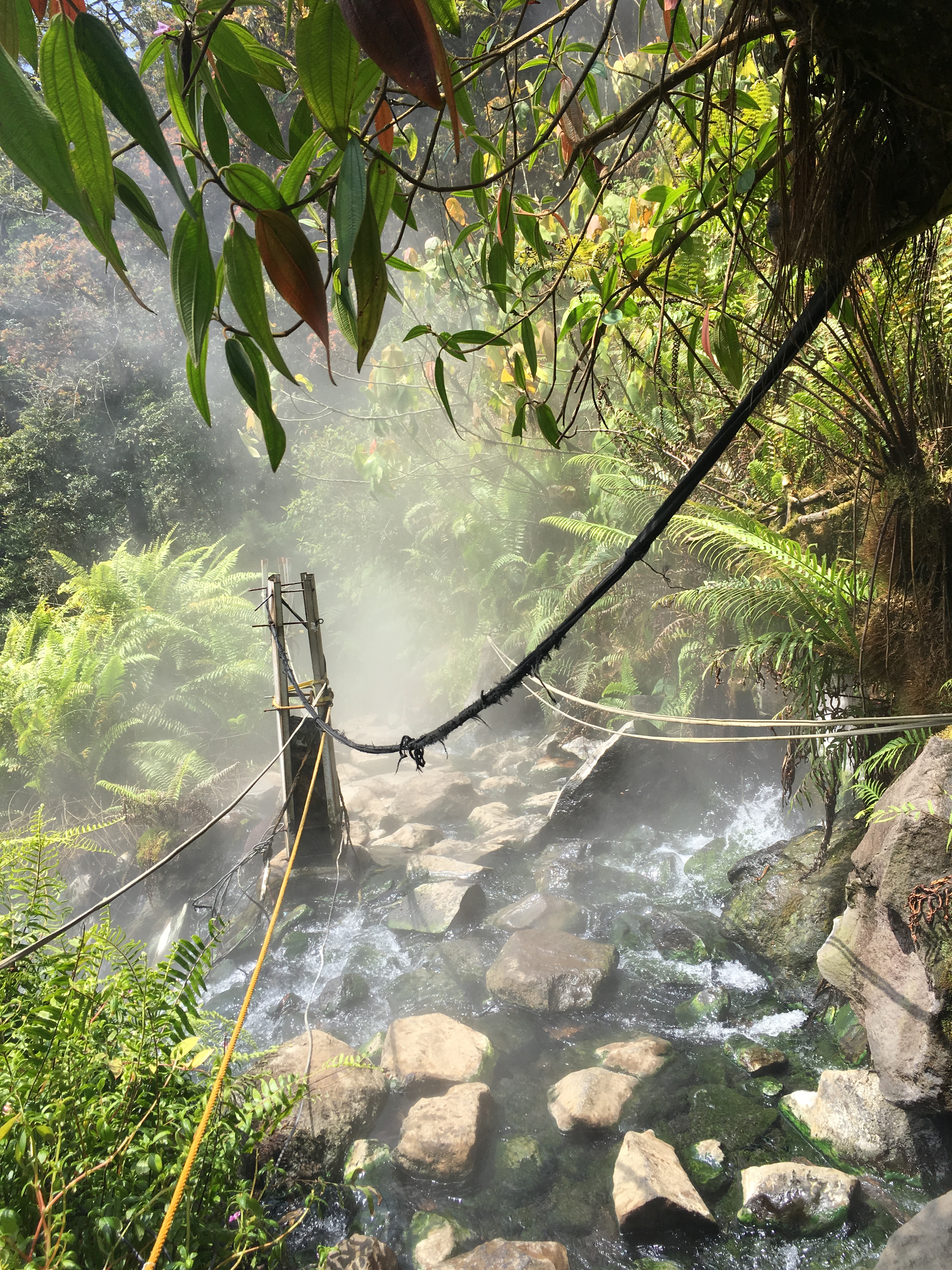 mt-pangrango-jakarta-5