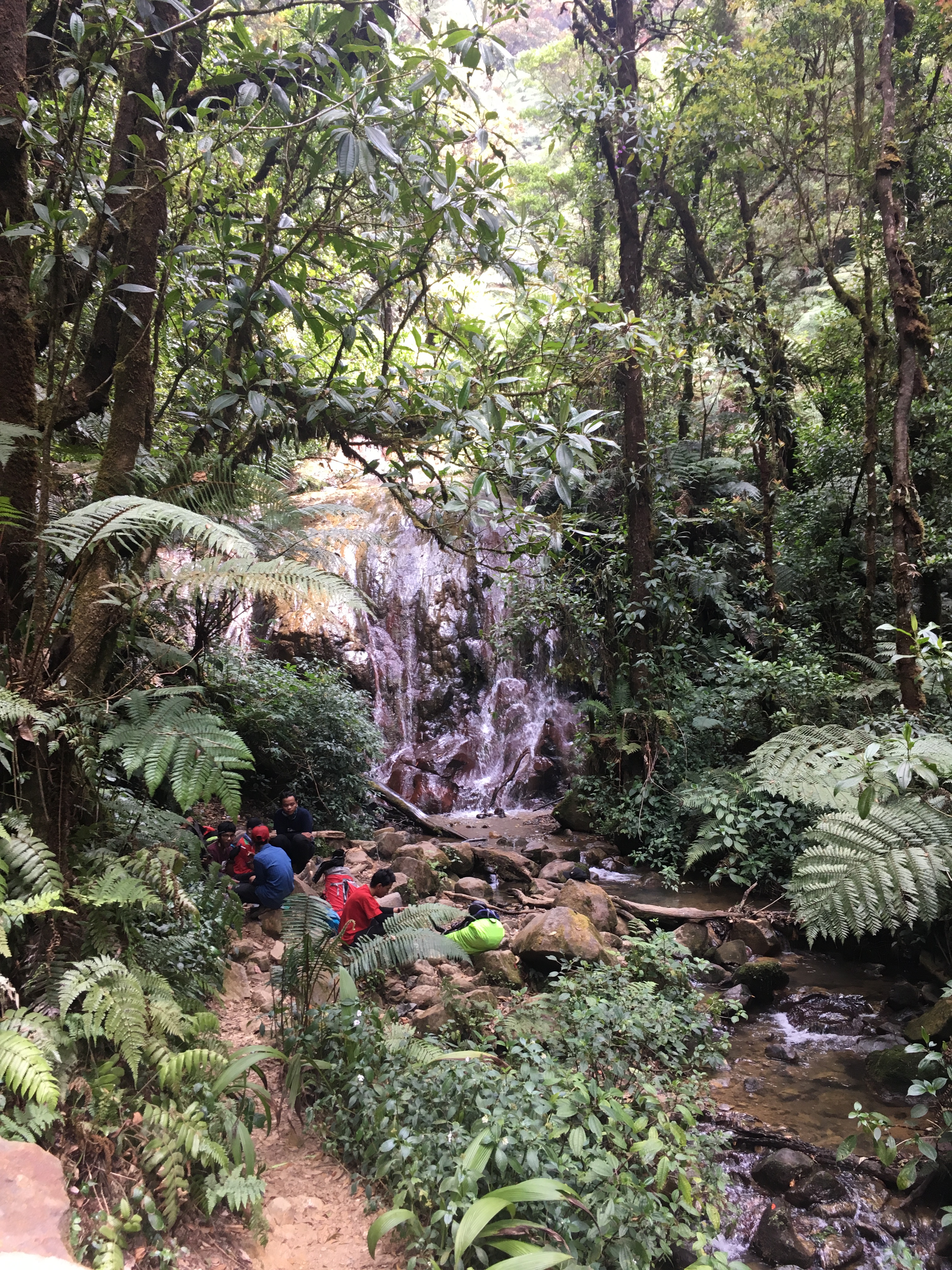 mt-pangrango-jakarta-3