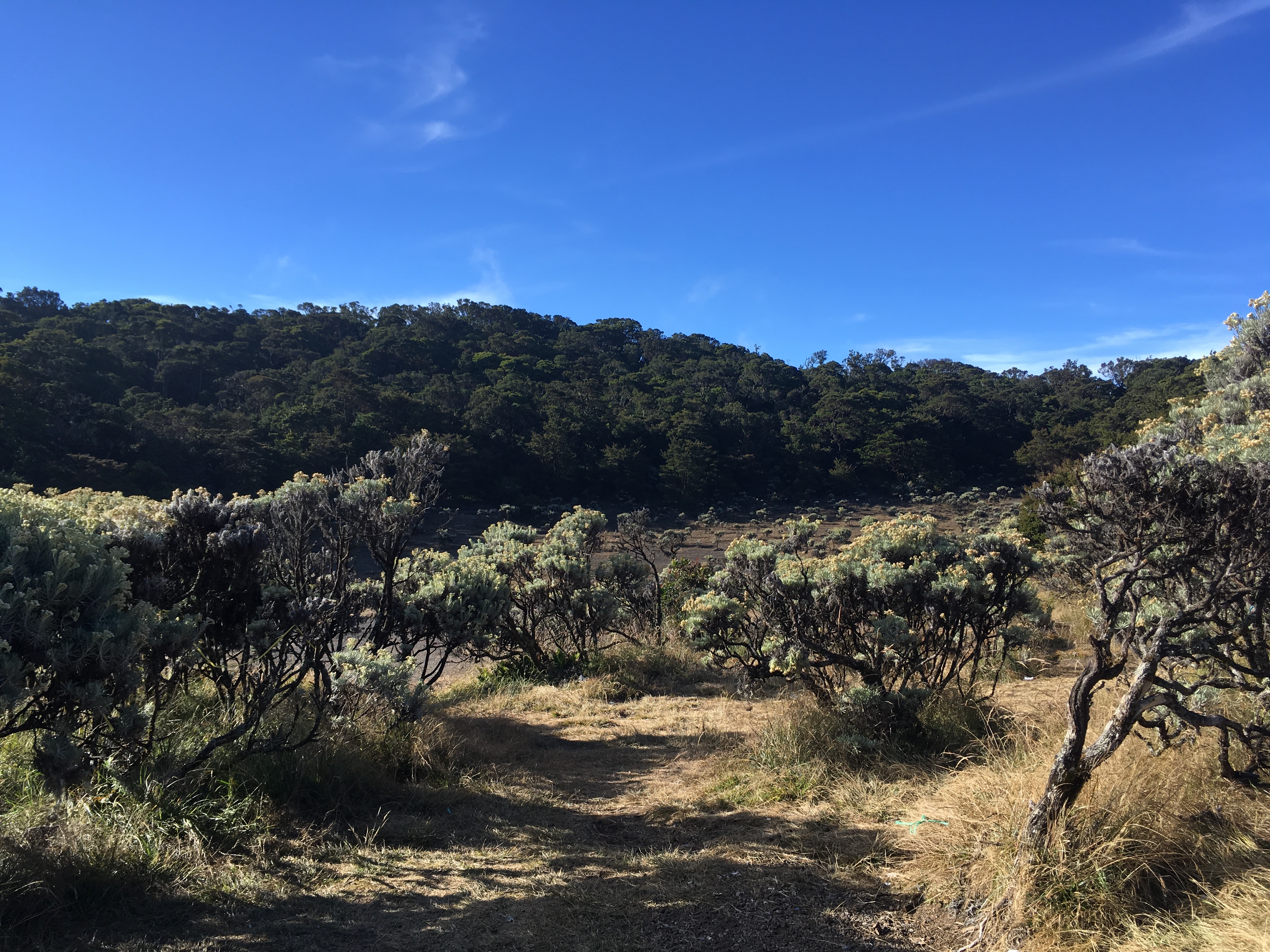 mt-pangrango-jakarta-6