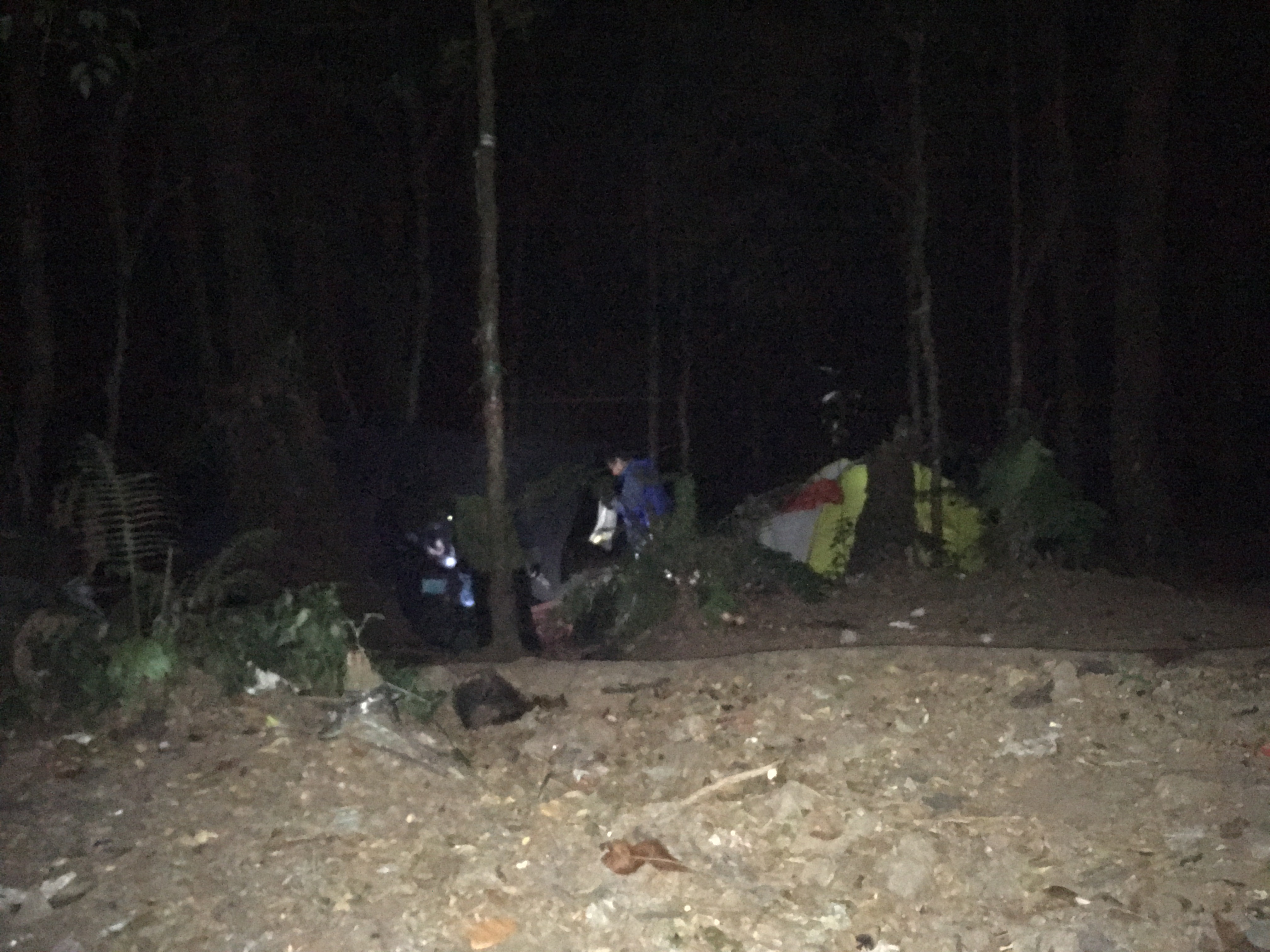 mt-pangrango-jakarta-10