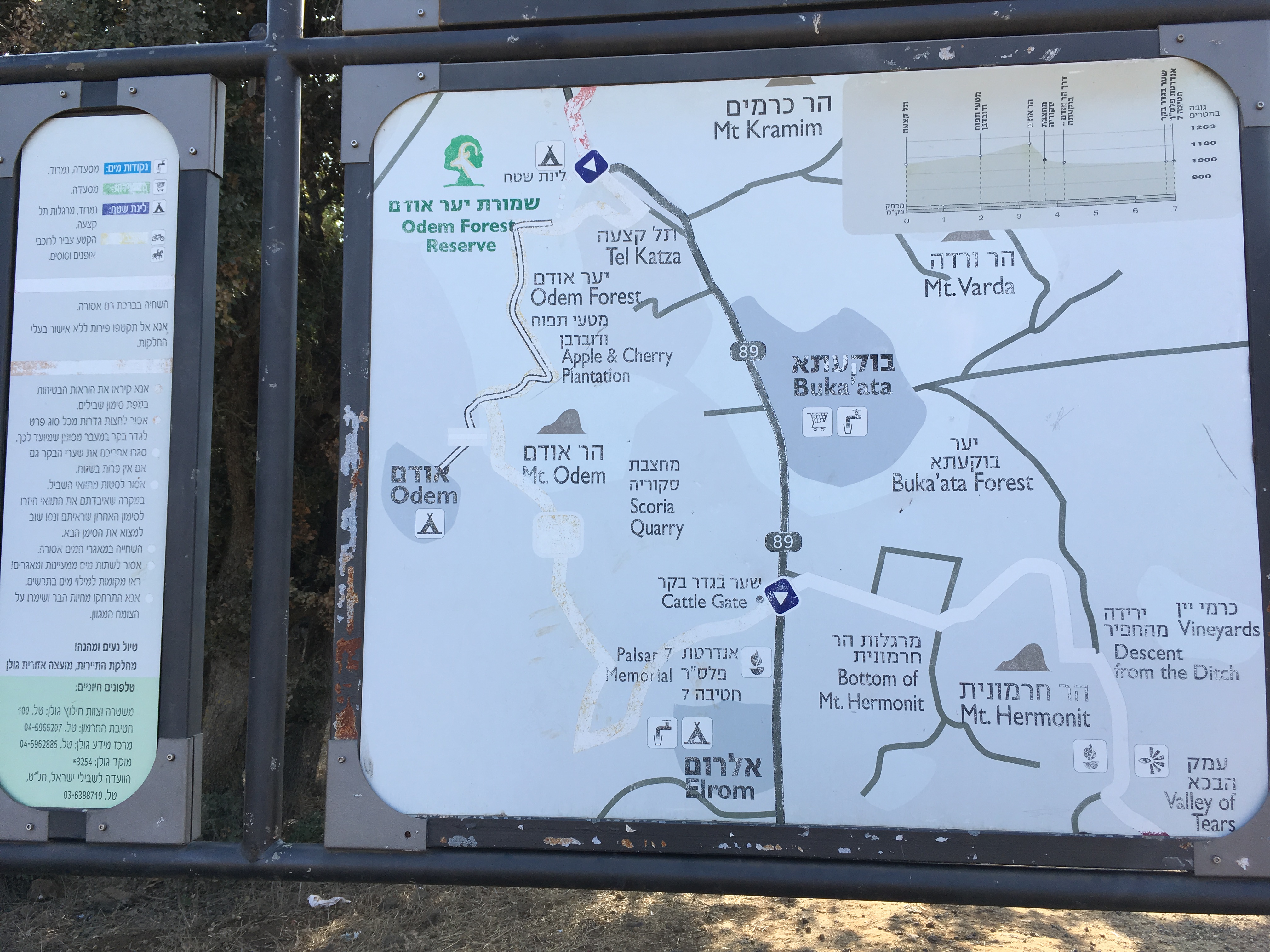 golan-trail-israel-9