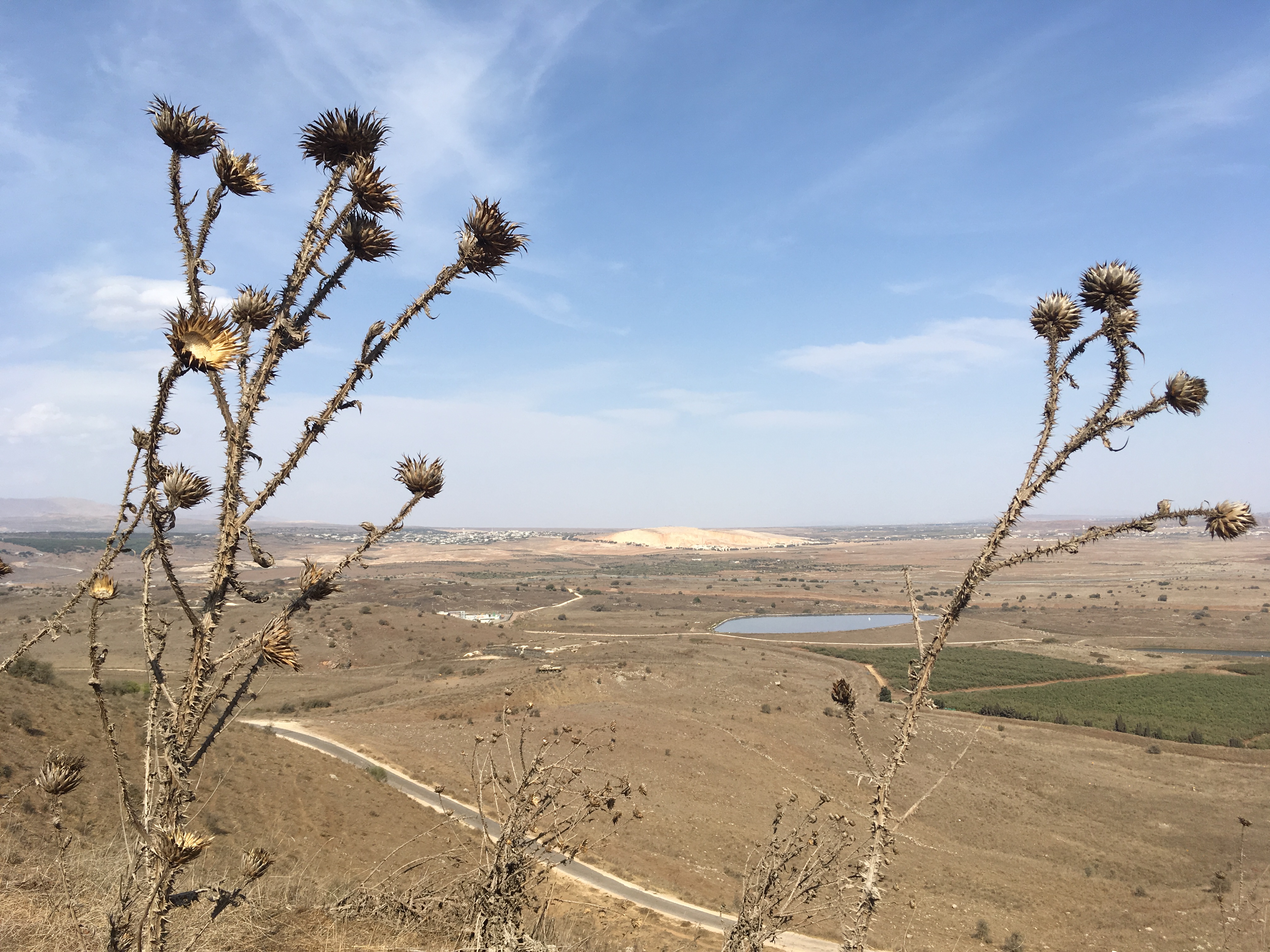 golan-trail-israel-13