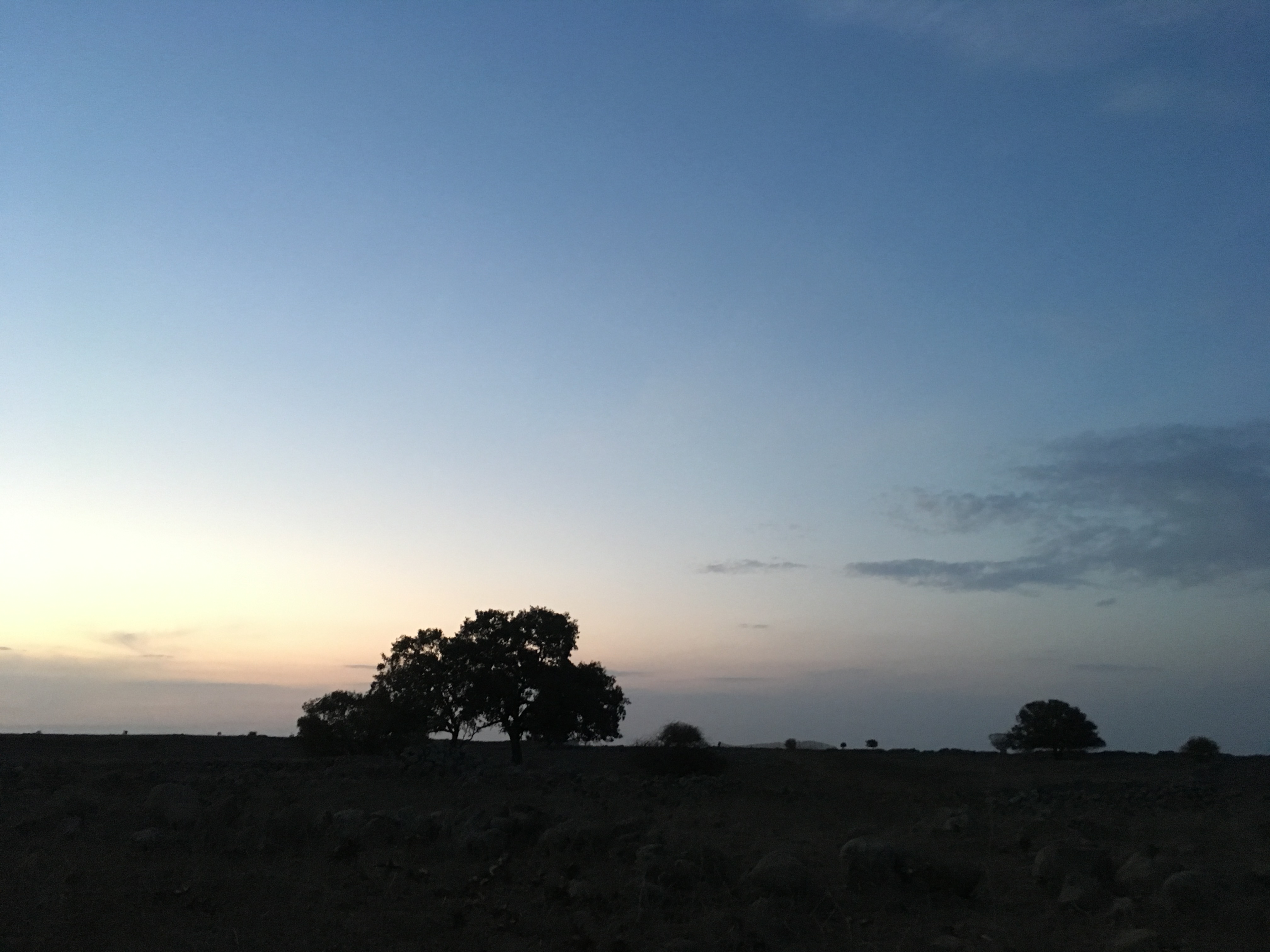 golan-trail-israel-20