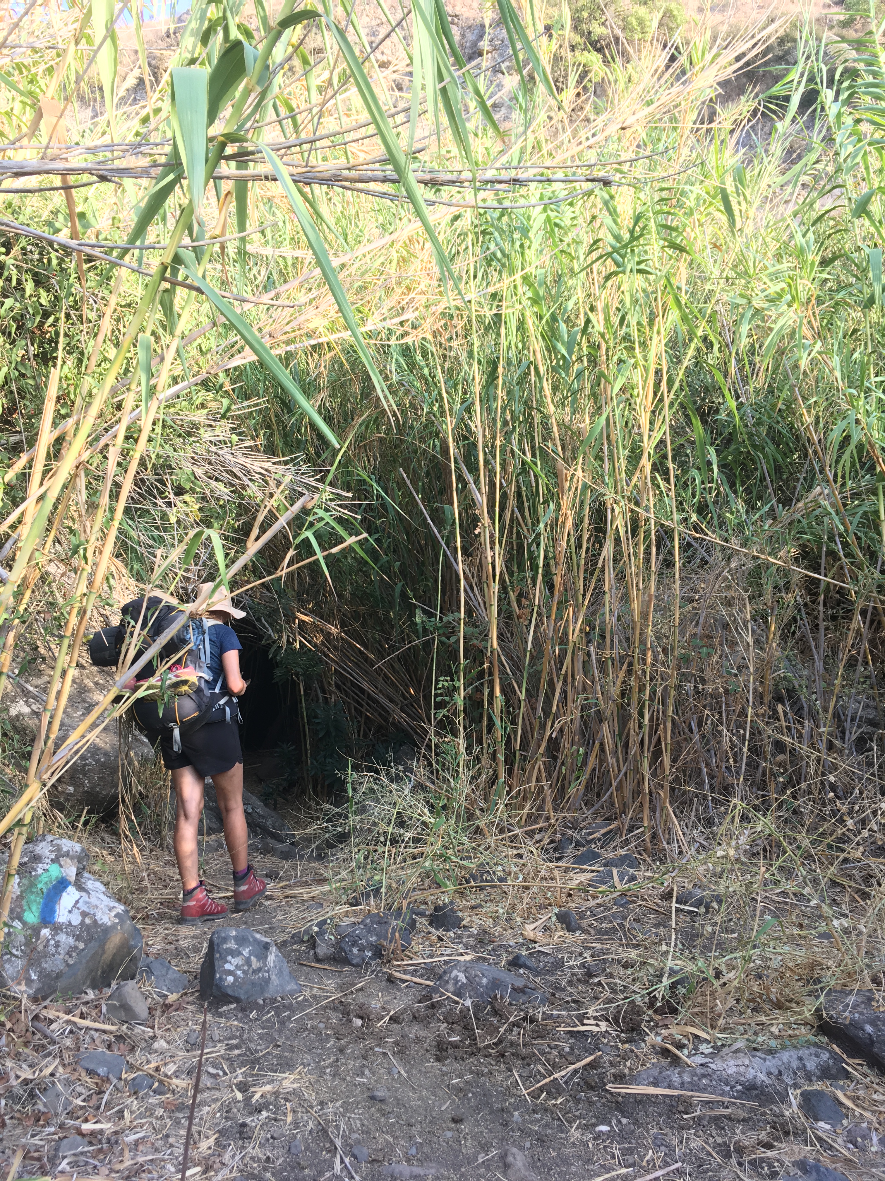 golan-trail-israel-26