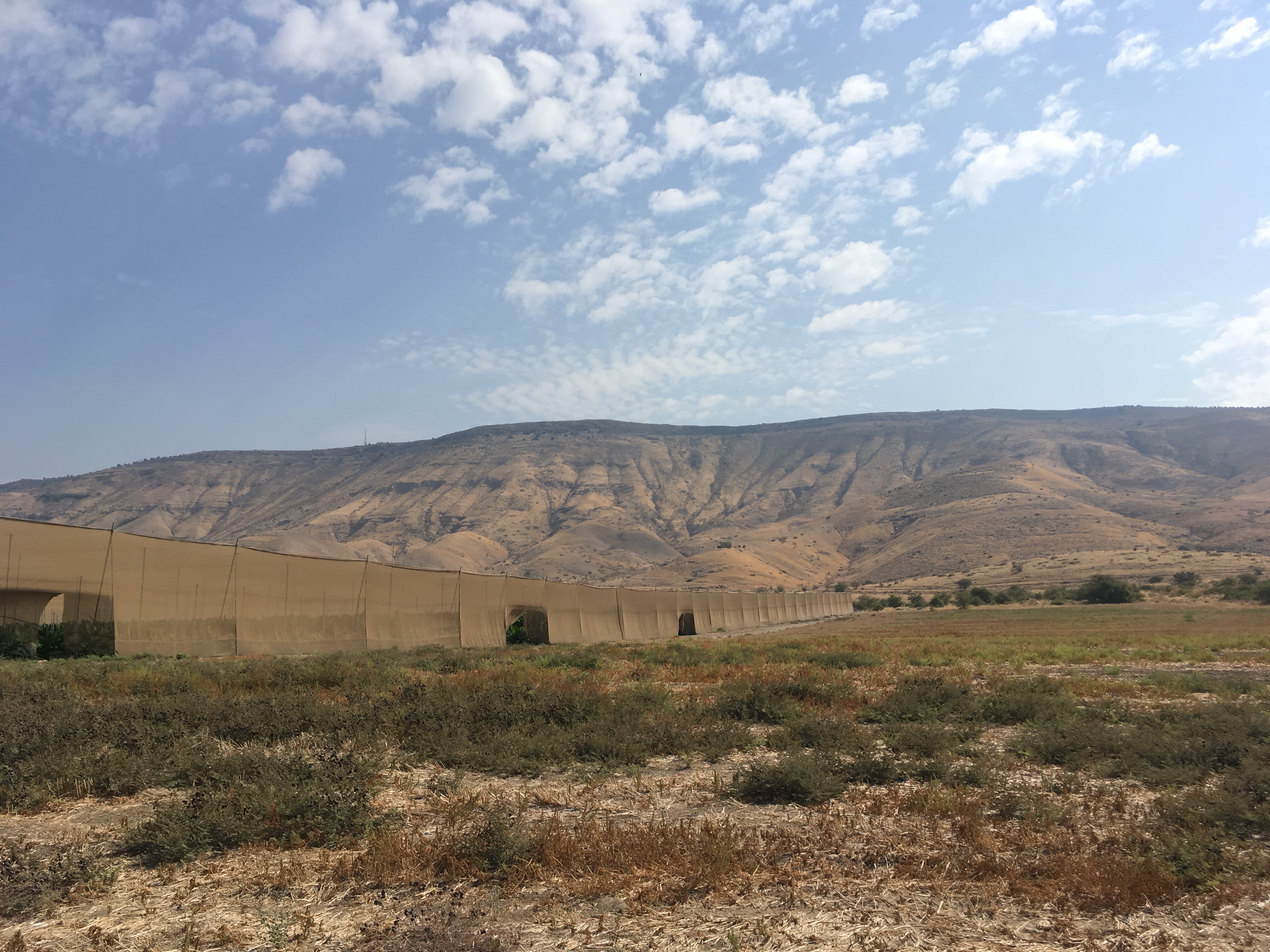 golan-trail-israel-37