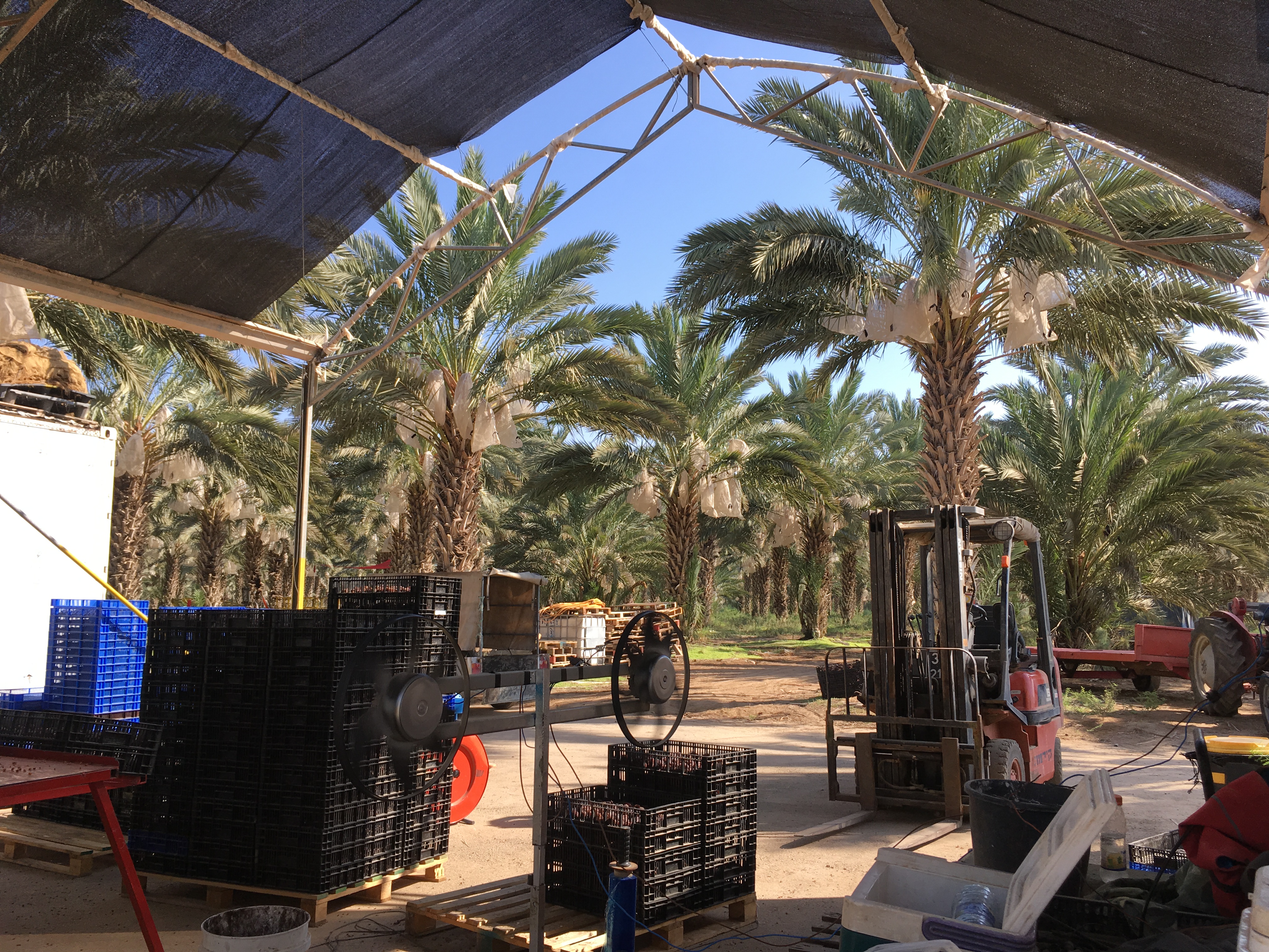 golan-trail-israel-39