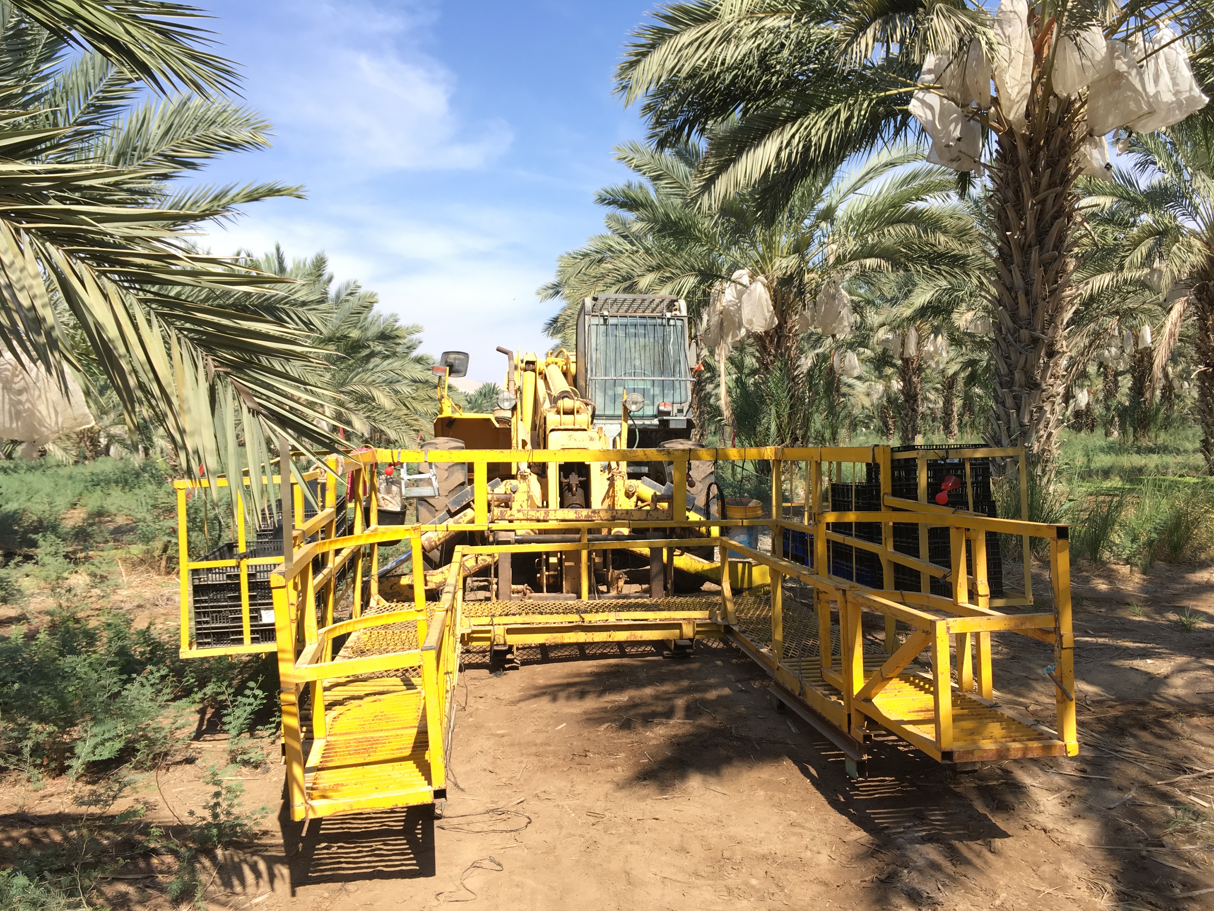 golan-trail-israel-2