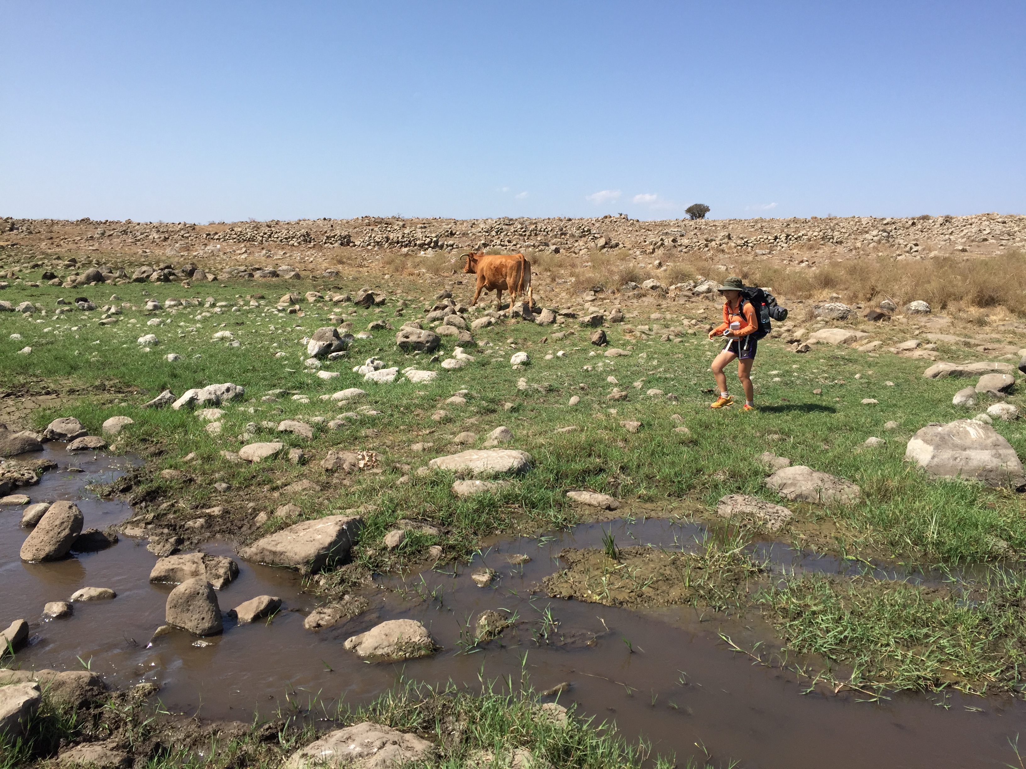 golan-trail-israel-23