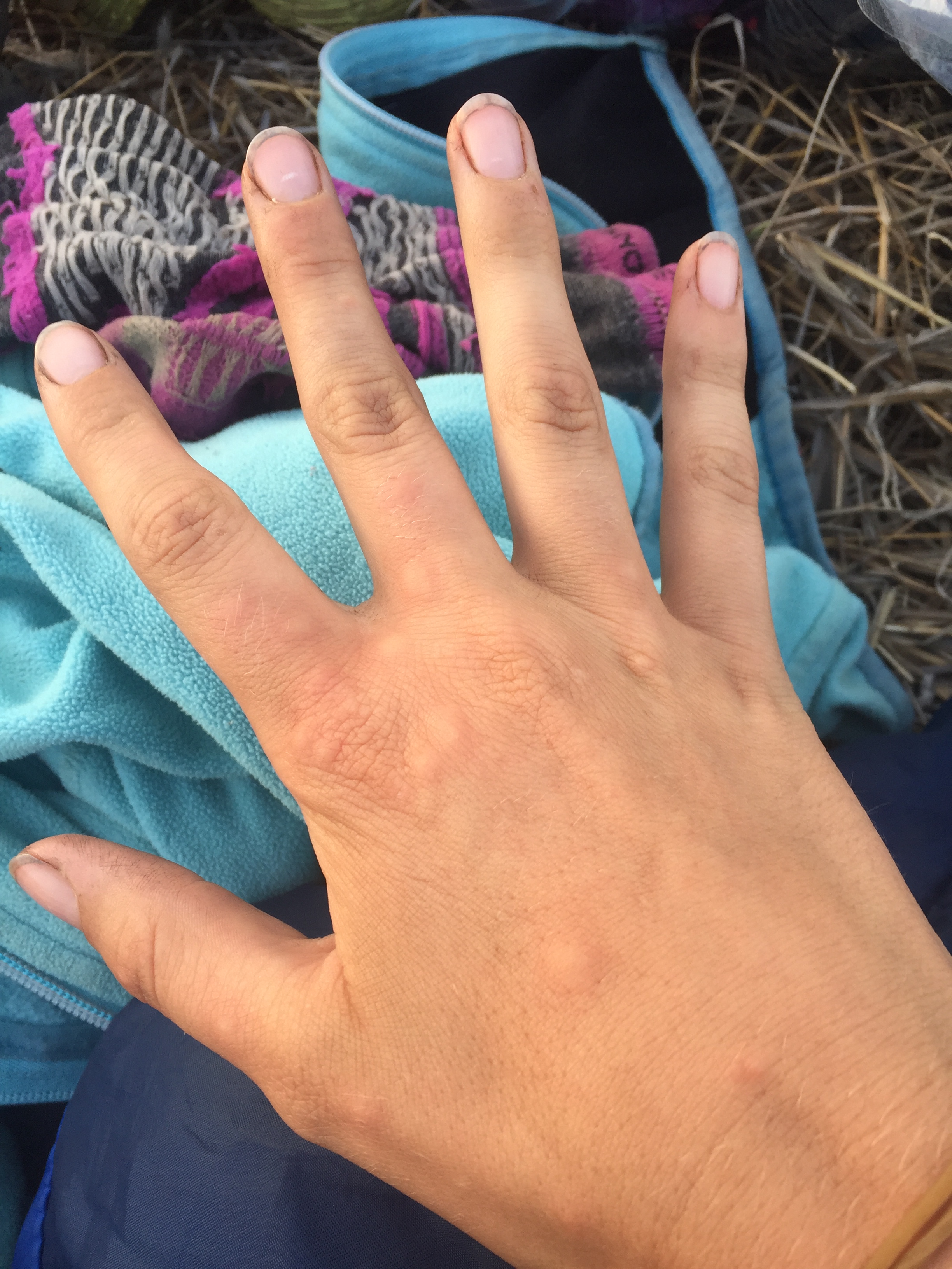 golan-trail-israel-32