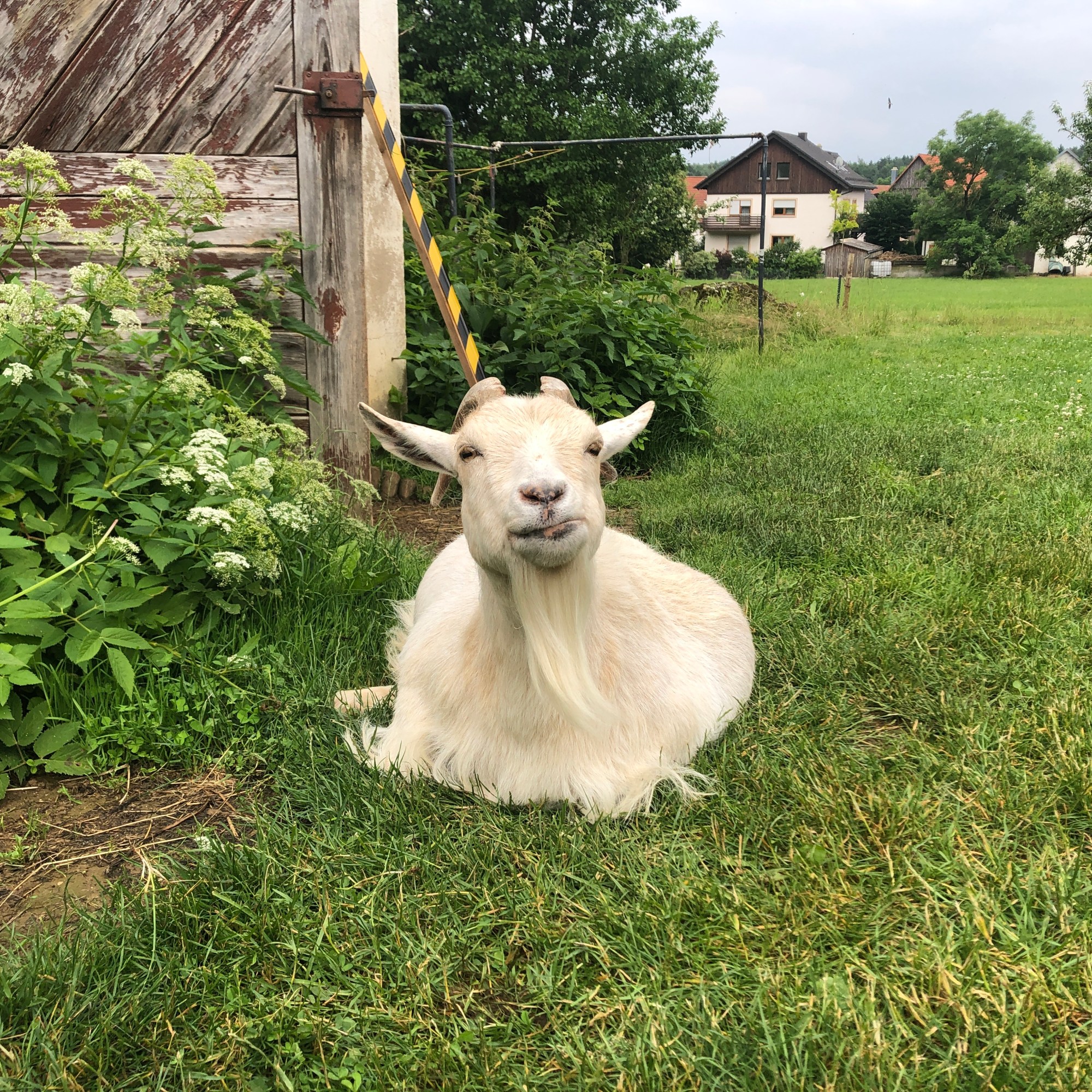 weekend-frankenjura-3