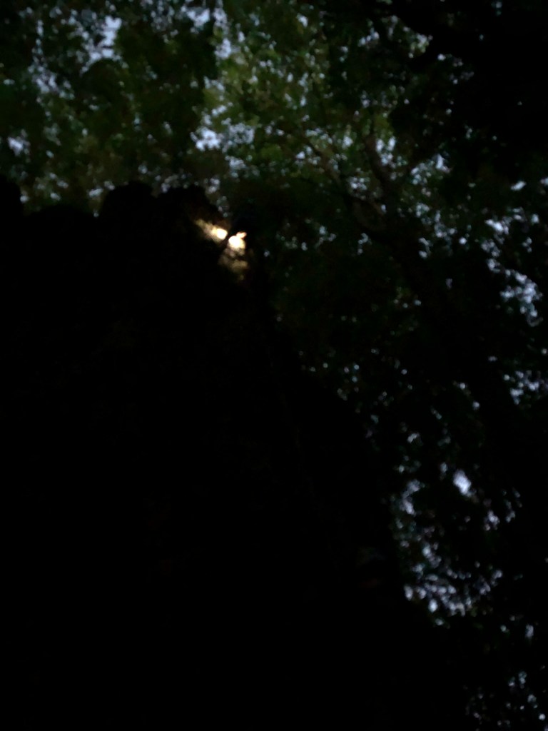 weekend-frankenjura-11