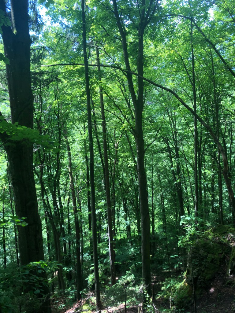 weekend-frankenjura-12