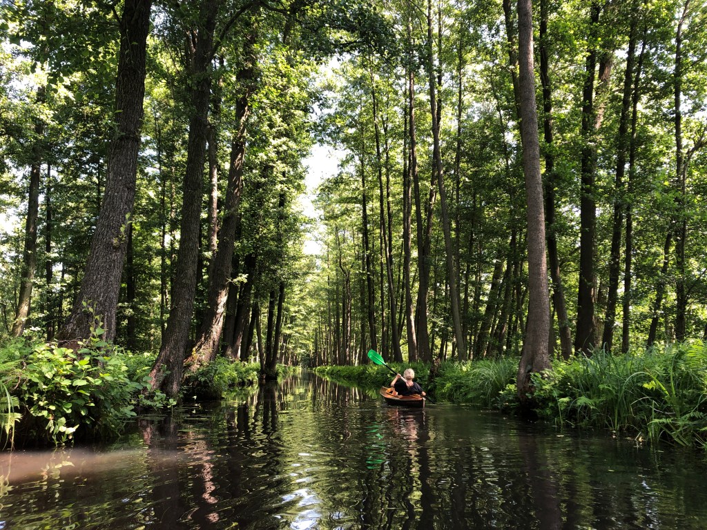 spreewald-kayak-5
