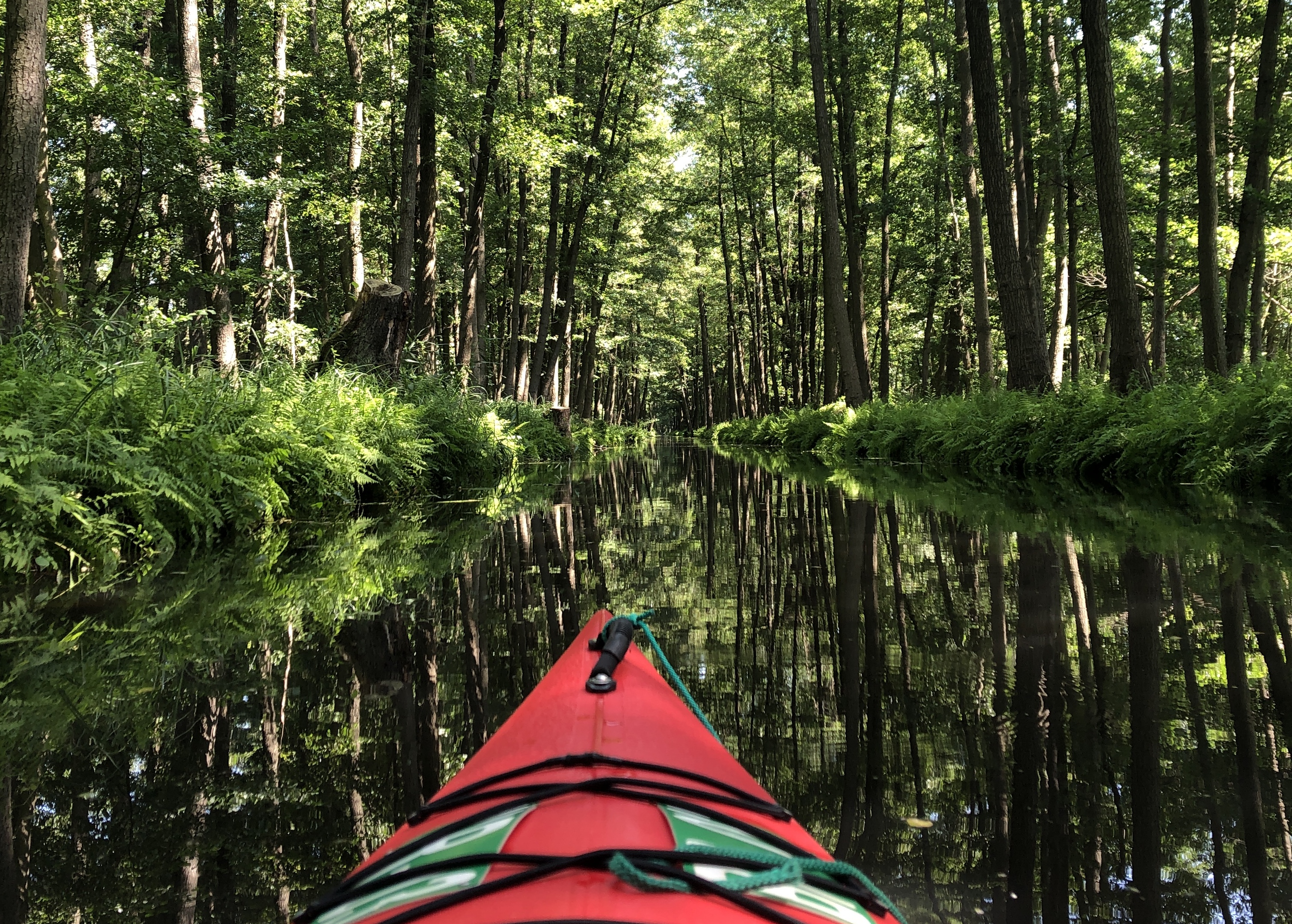 spreewald-kayak-0