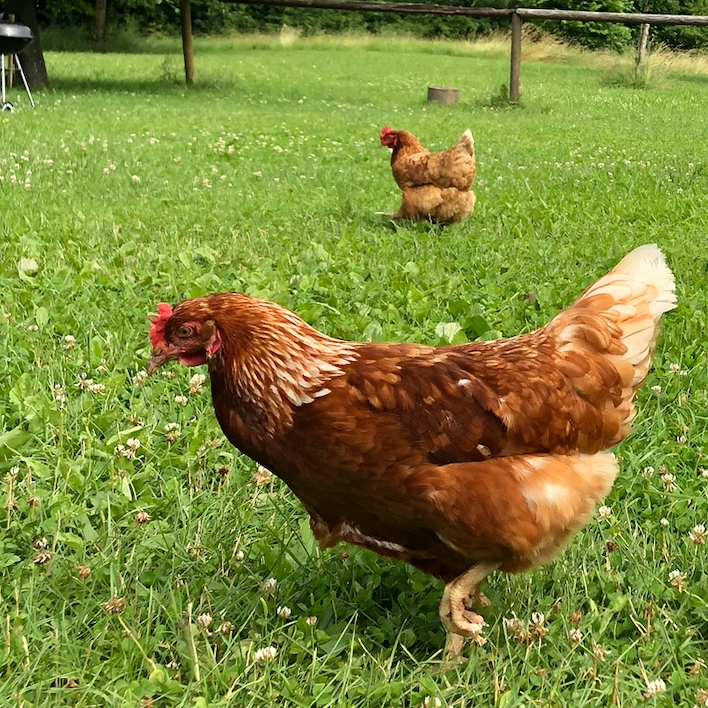 weekend-frankenjura-6