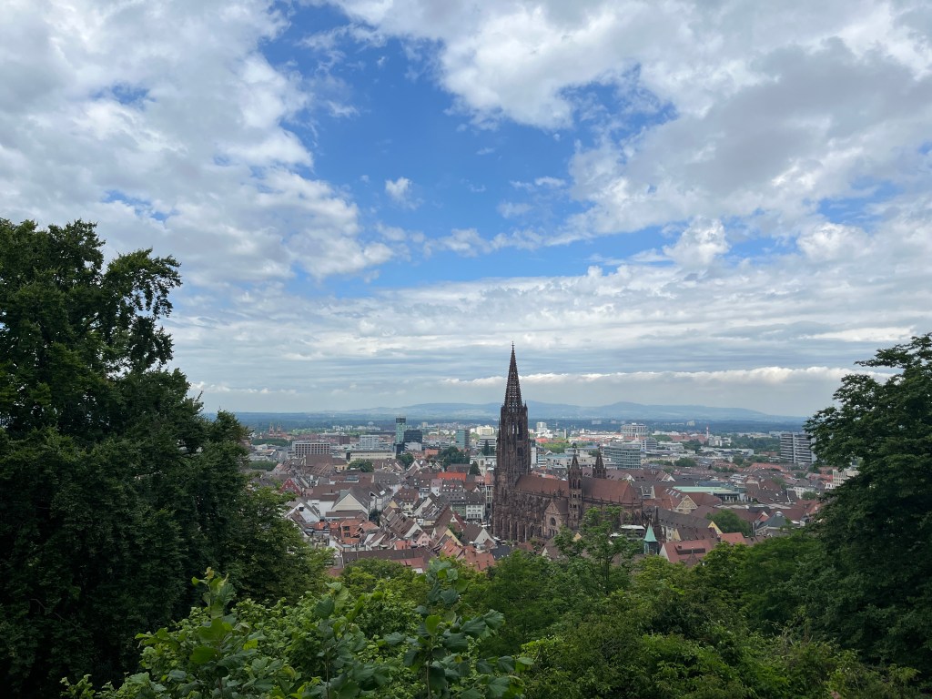 carrying-bikes-trains-7