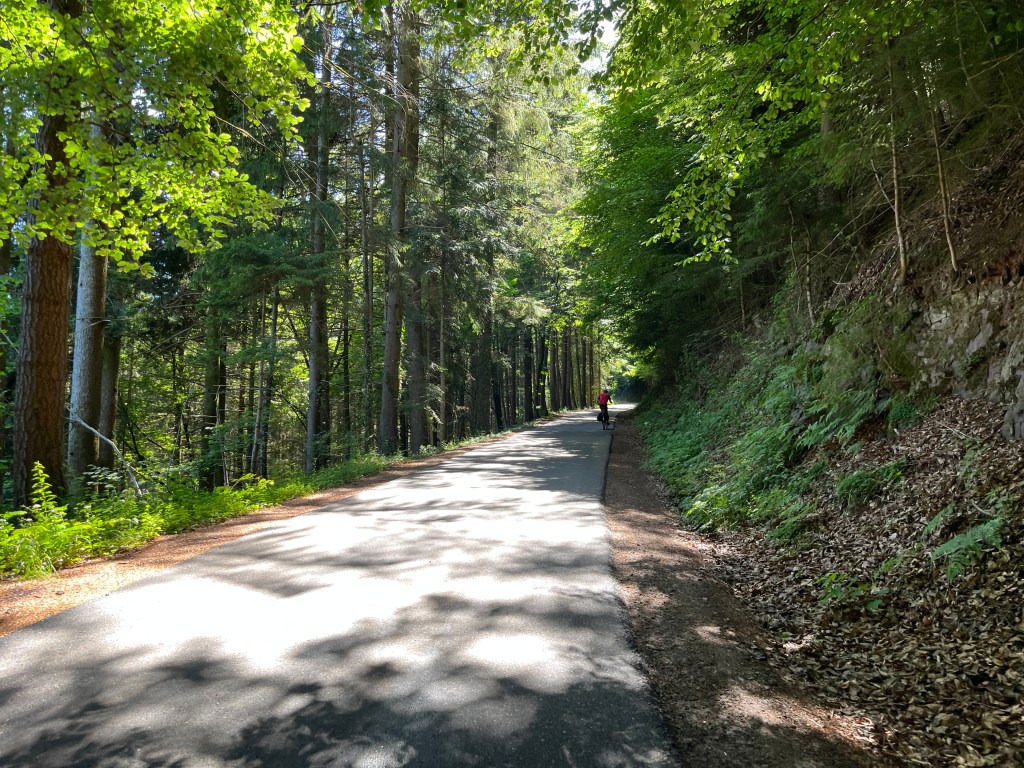 carrying-bikes-trains-12