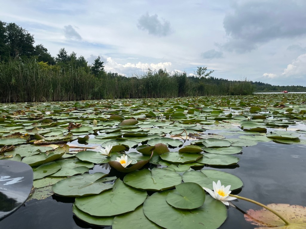 kayak-touring-mecklenburg-3