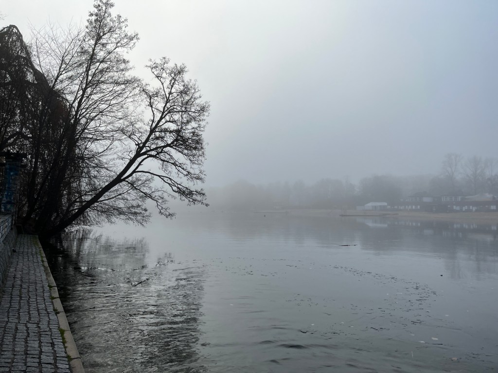 ice-dipping-plotzensee-1
