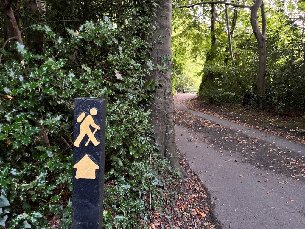 dublin-days-wicklow-3