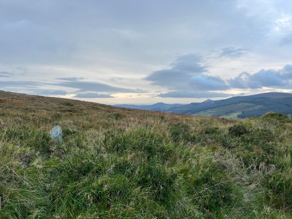 dublin-days-wicklow-8