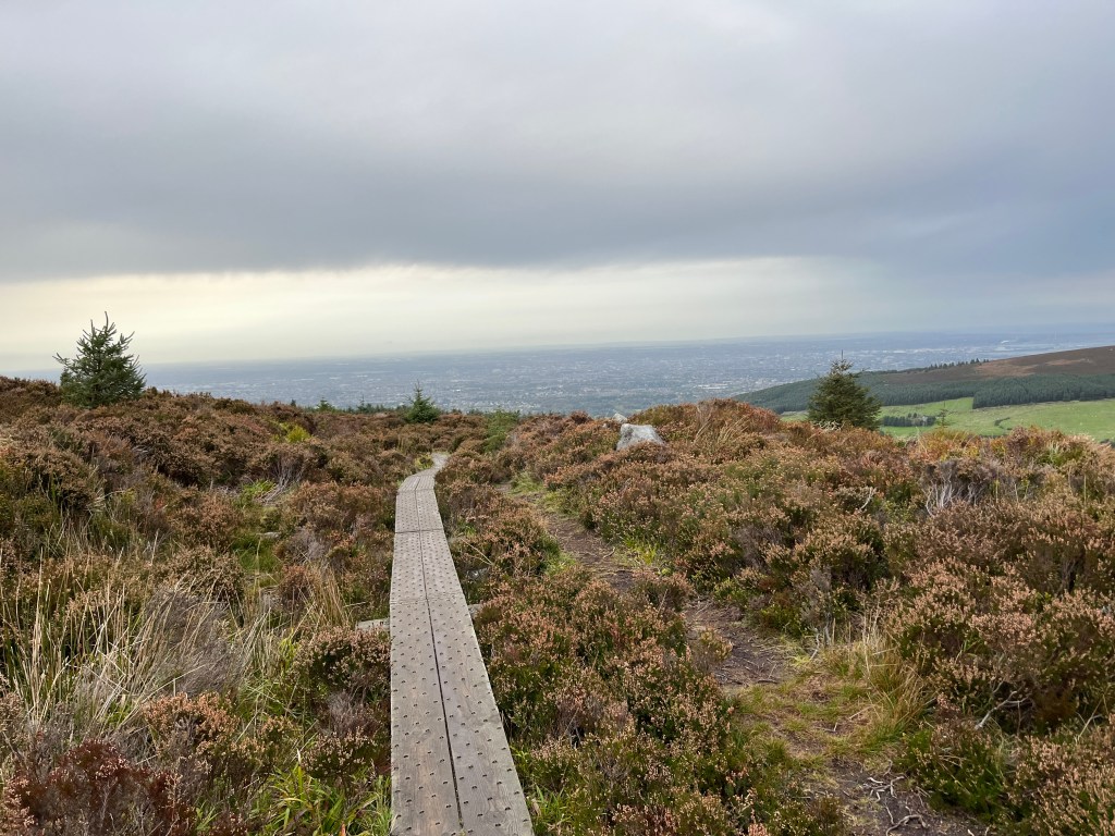 dublin-days-wicklow-7