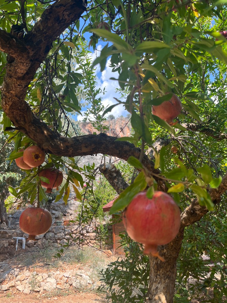 climbing-geyikbayiri-2