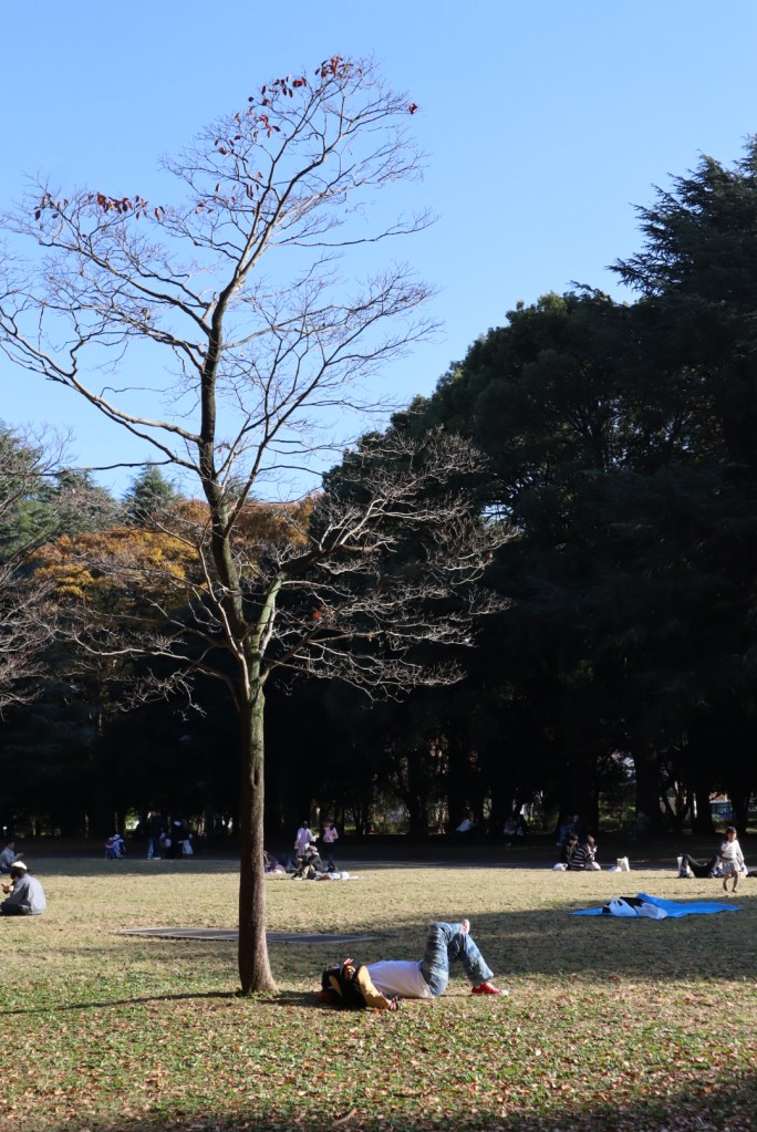 mitake-bouldering-scenic-2