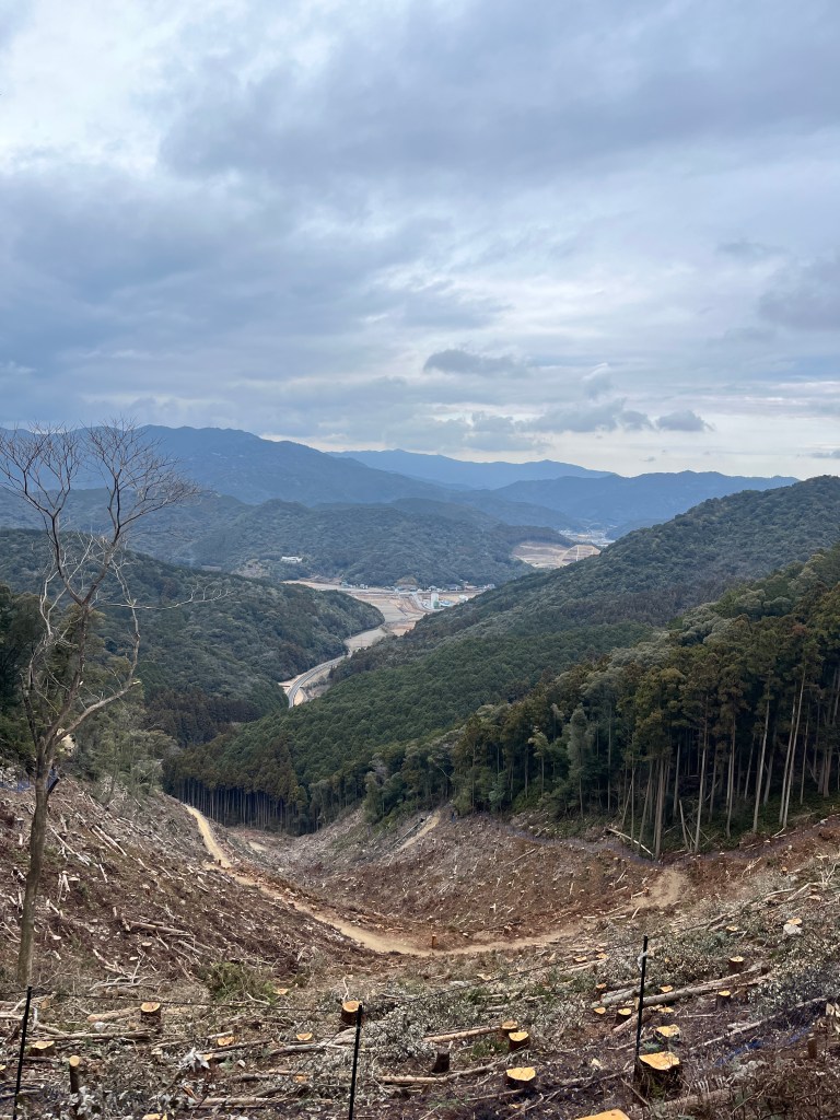 senba-coastal-cliff-5