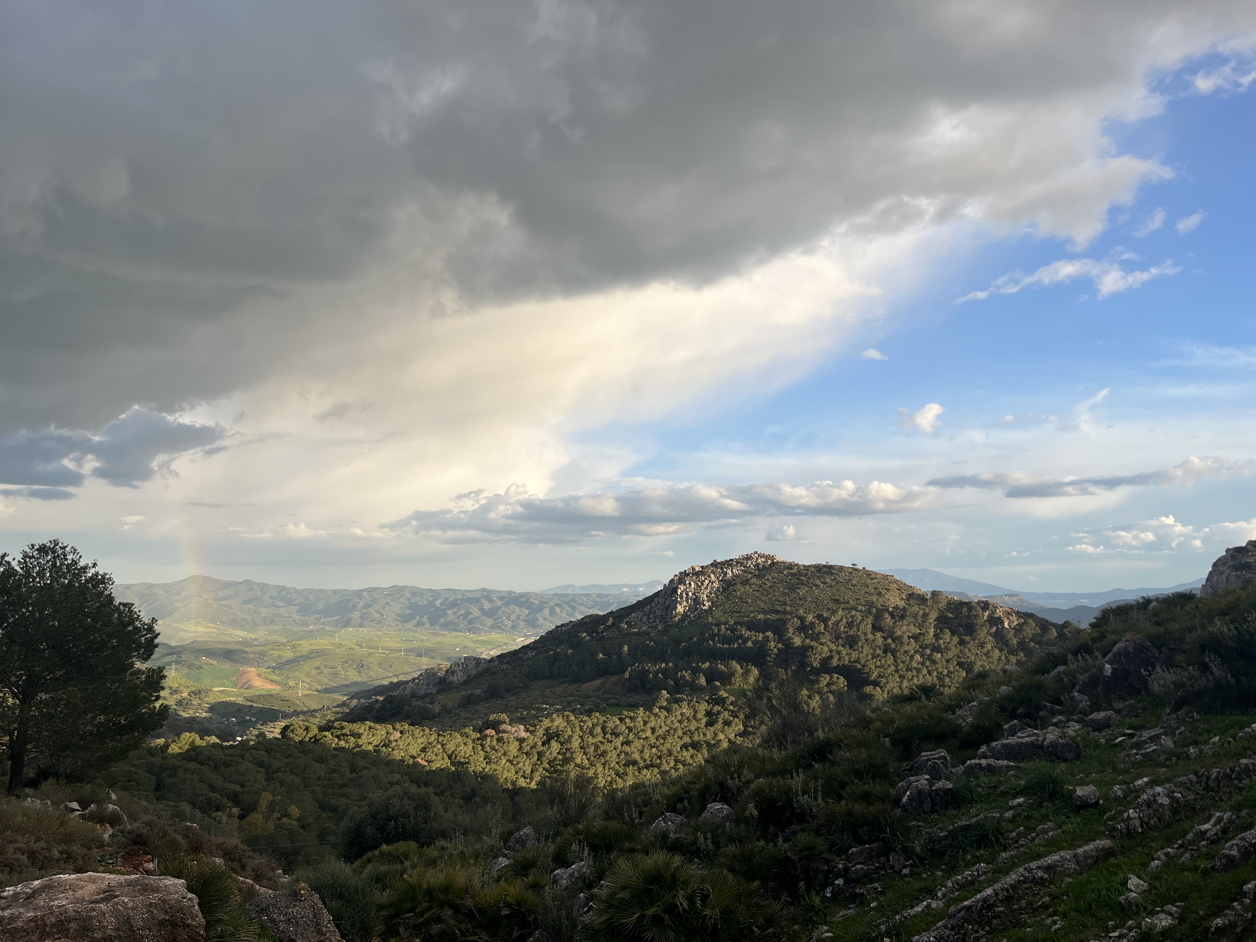climbing-el-chorro-0